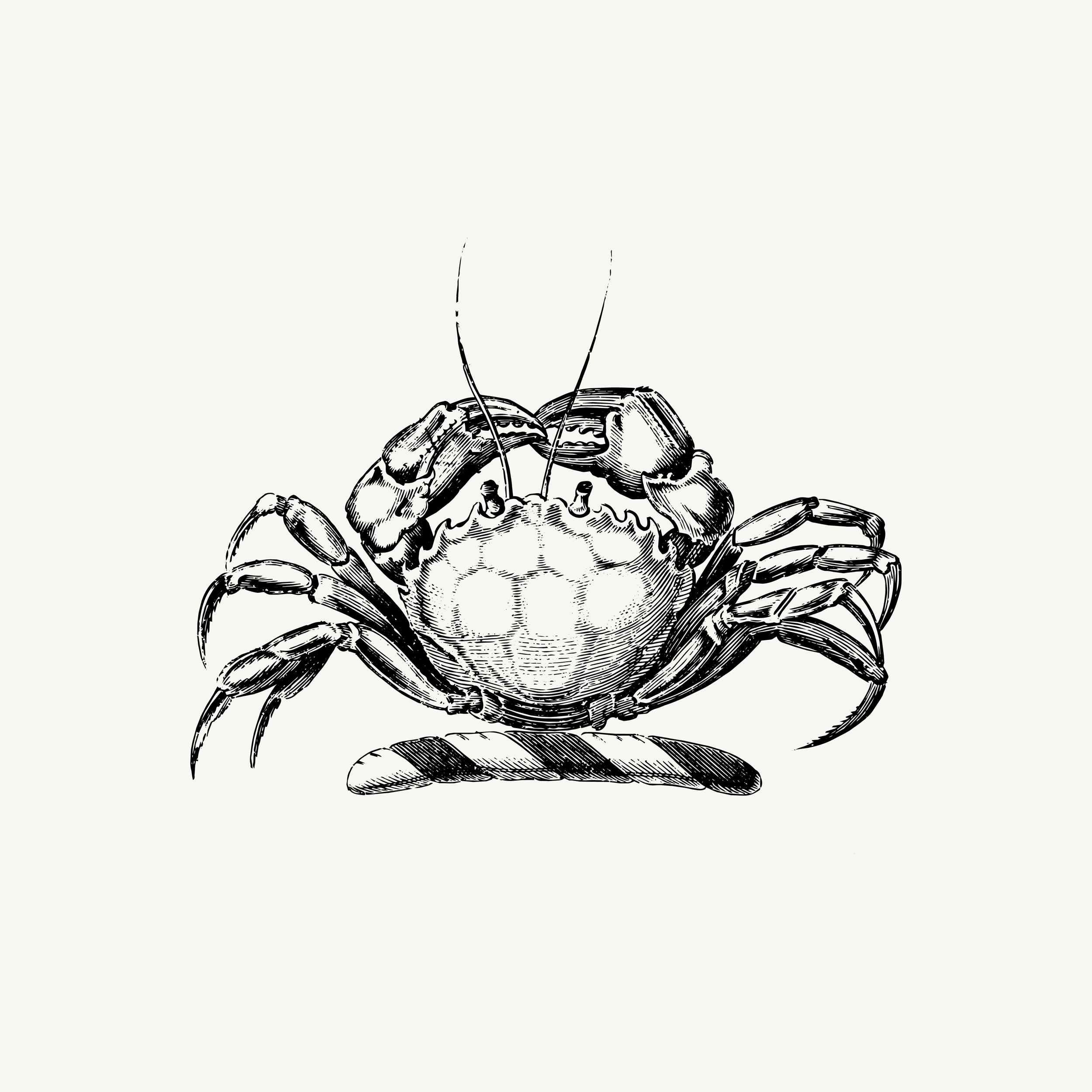 Historic engraved crest of a Crab, paired with the orientation line "Not every approach is direct" — from the Story & Sigil archive