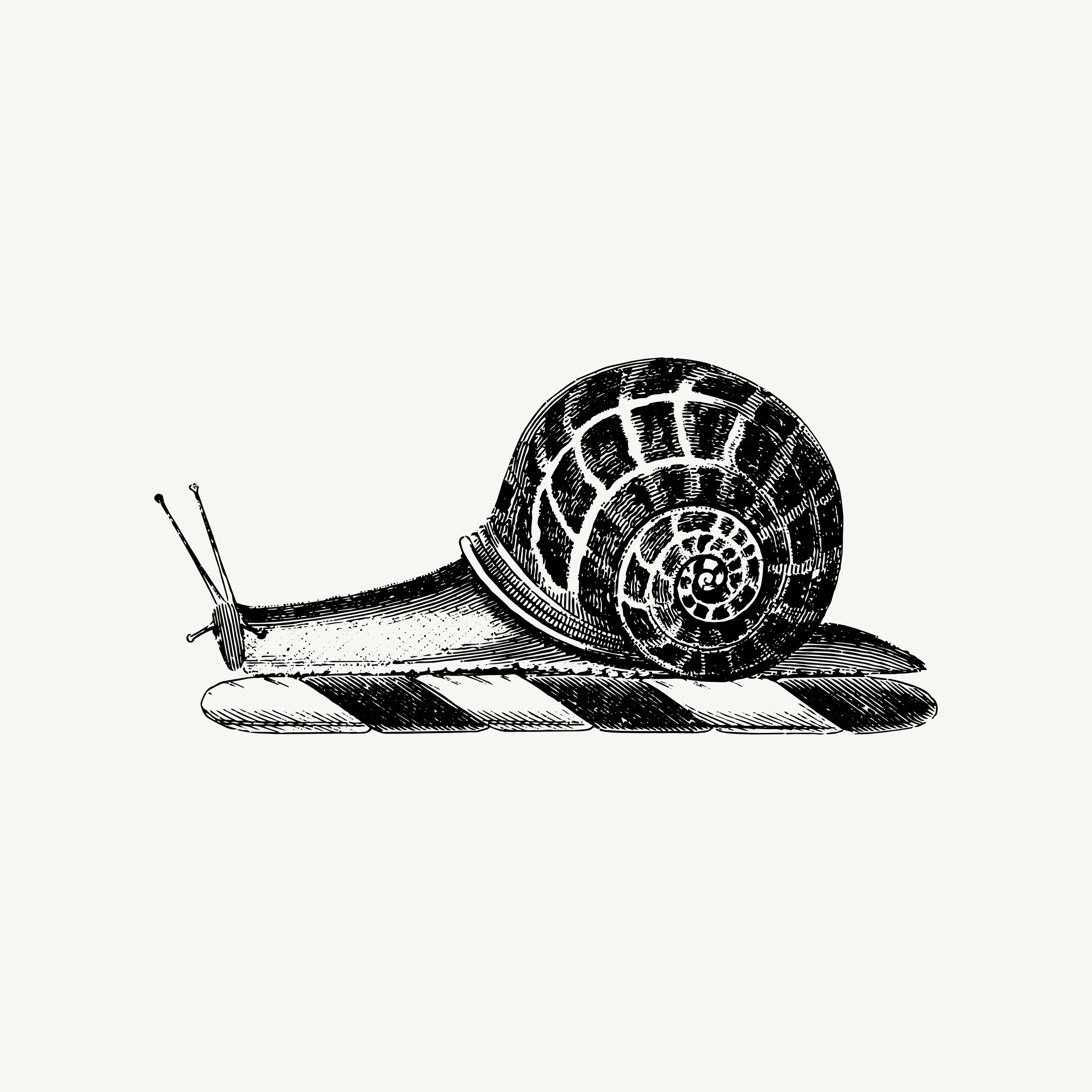Historic engraved crest of a Snail, paired with the orientation line "Some things continue quietly" — from the Story & Sigil archive