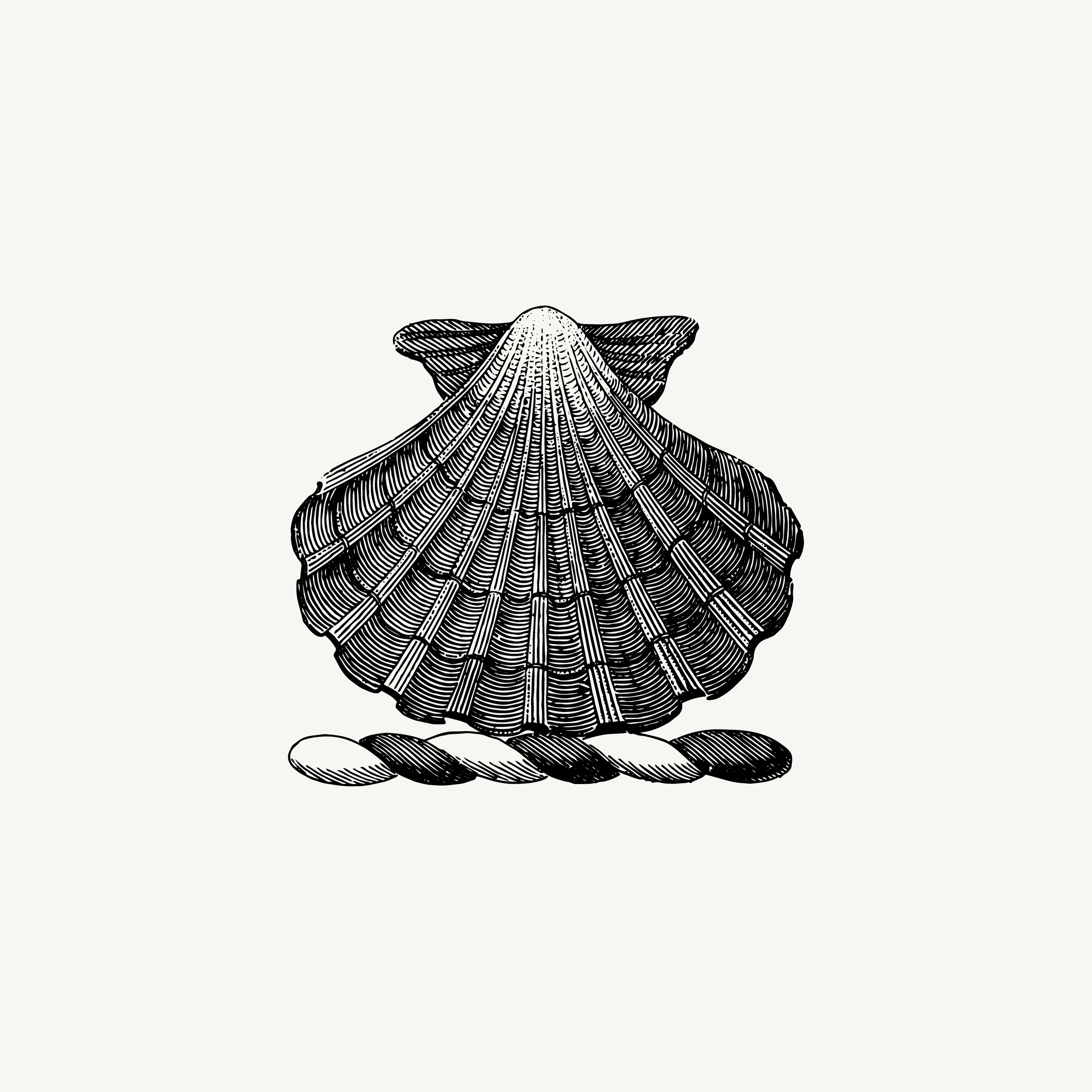 Engraved crest depicting a scallop shell, historic emblem illustration, black and white
