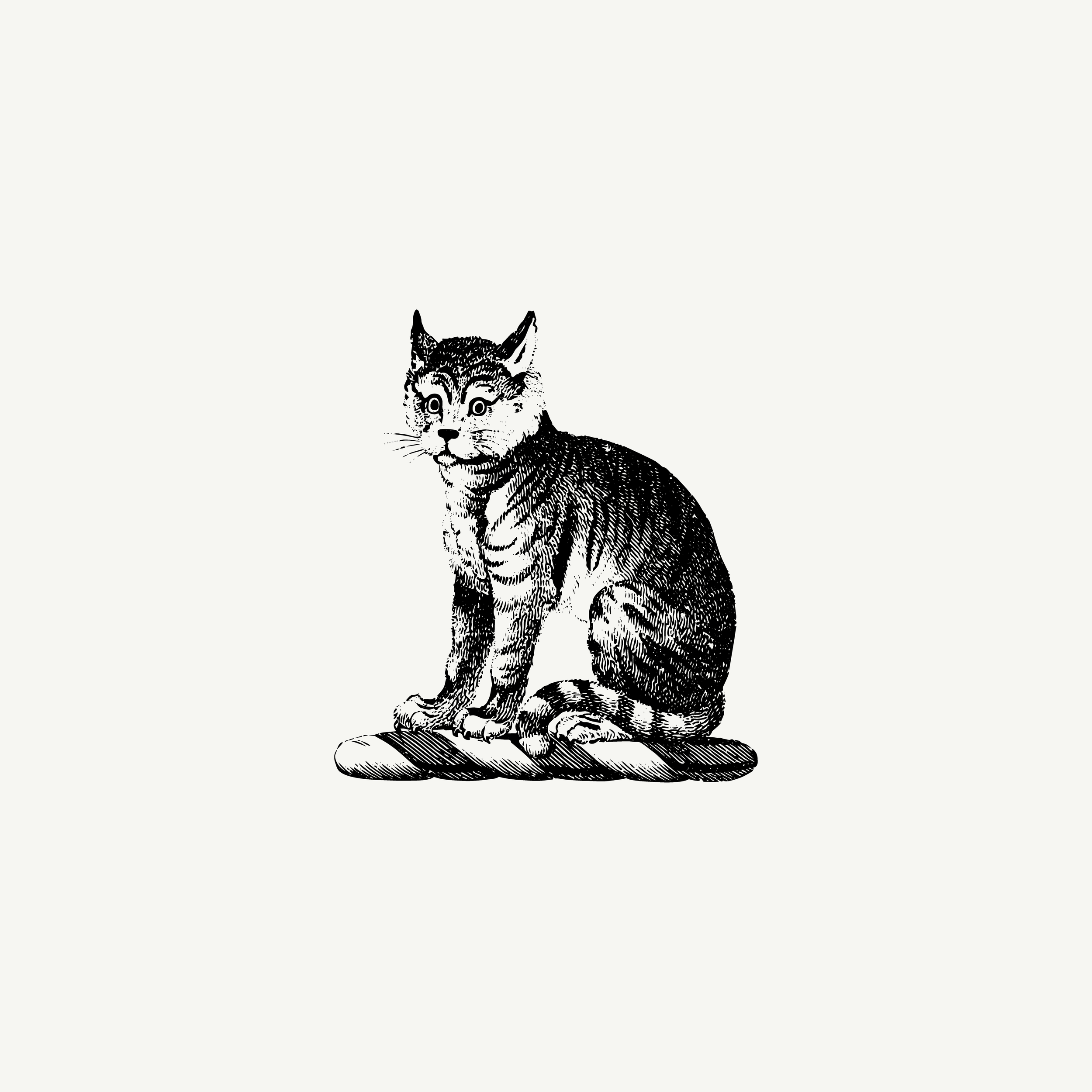 Historic engraved crest of a Cat, paired with the orientation line "Certain affections are chosen slowly" — from the Story & Sigil archive