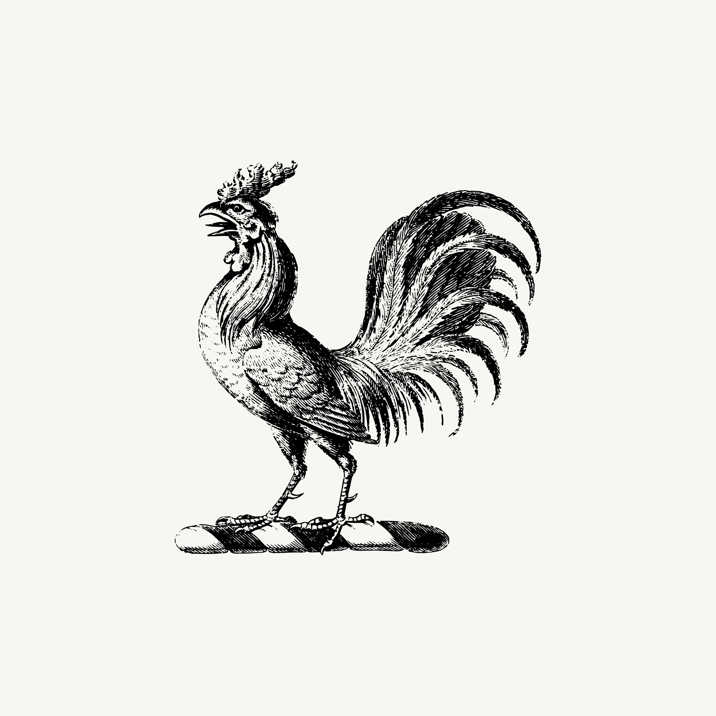 Historic engraved crest of a Cockerel, paired with the orientation line "The day begins before we do" — from the Story & Sigil archive.