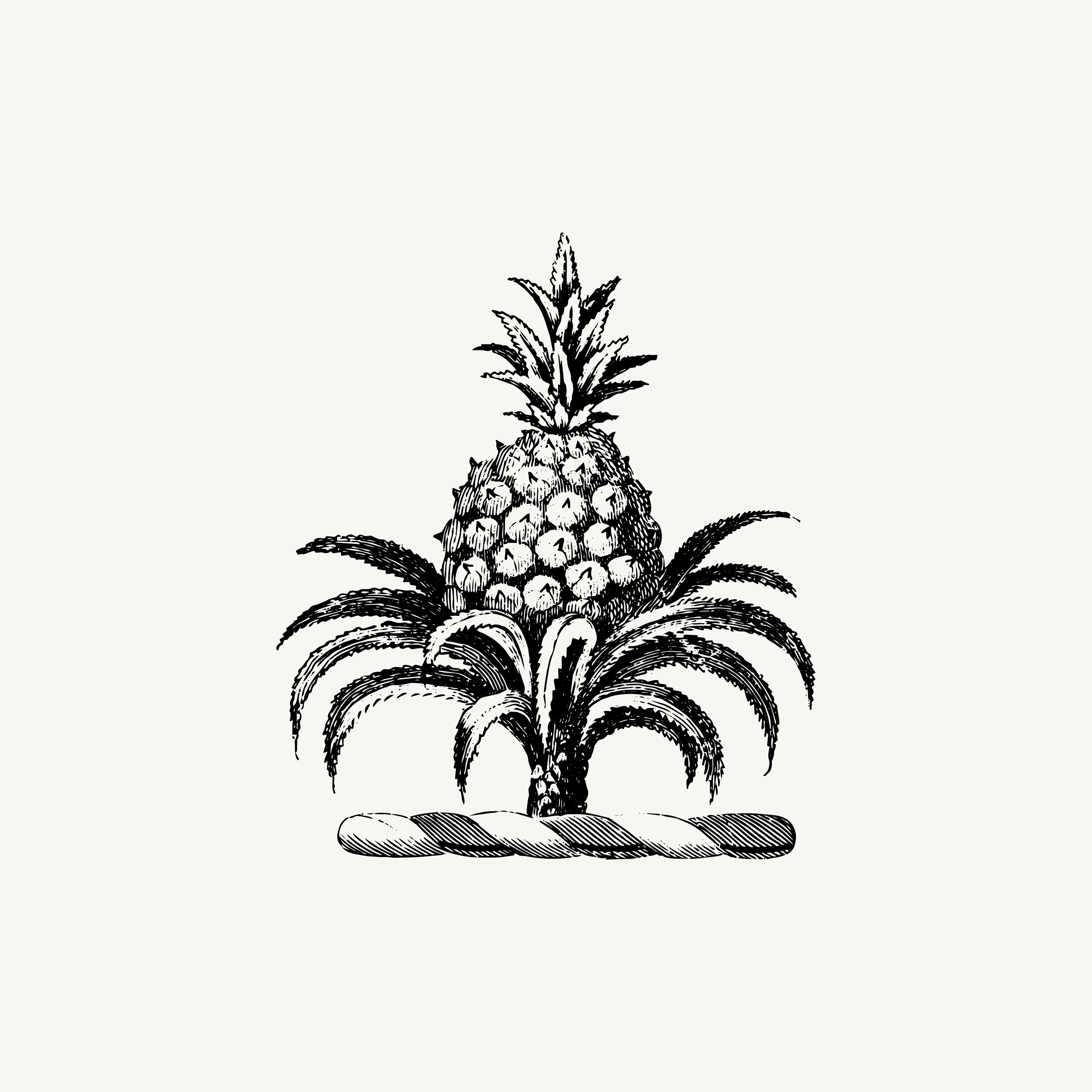 Engraved crest depicting a pineapple plant, historic botanical illustration, black and white