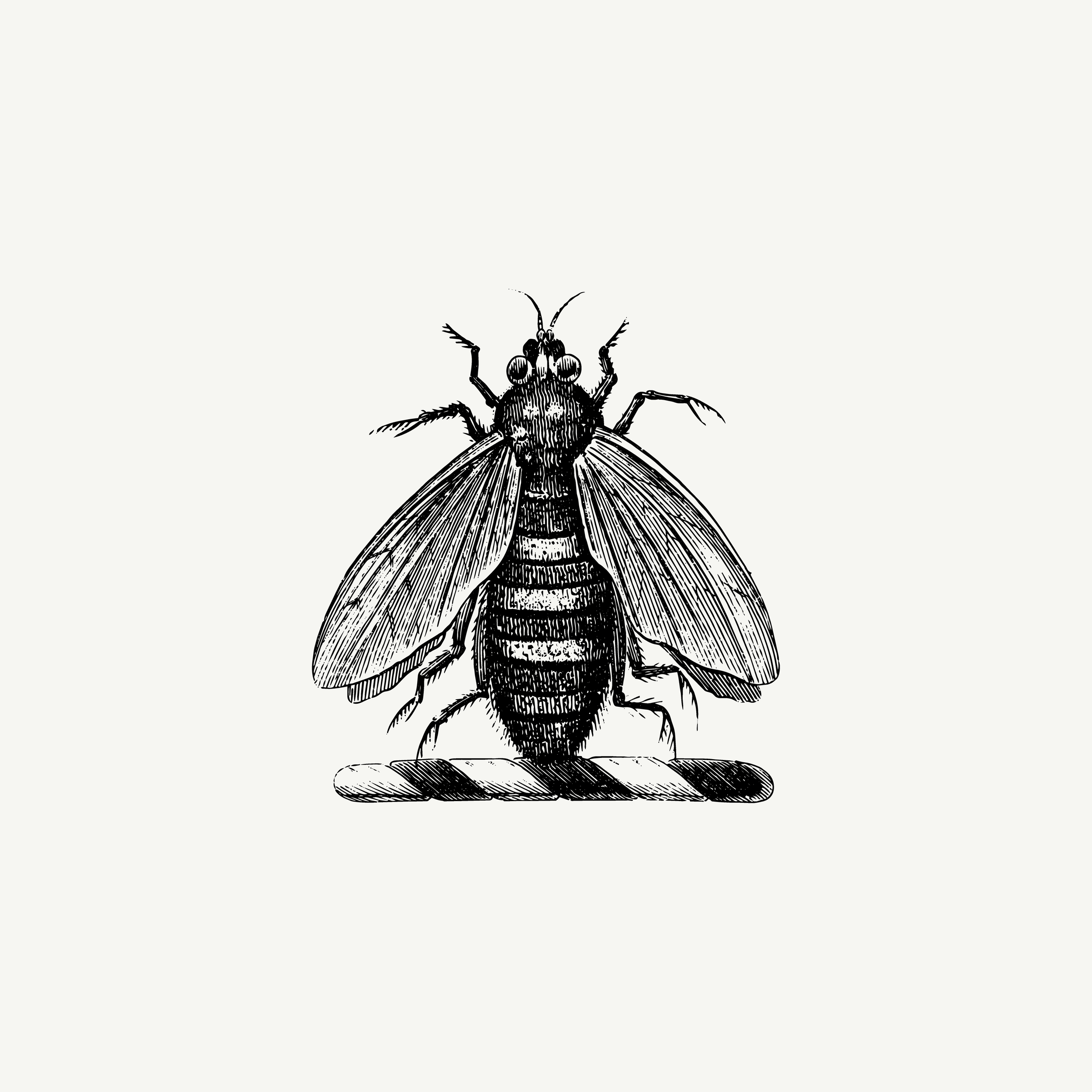 Historic engraved crest of a Bee, paired with the orientation line "Small lives sustain so much" — from the Story & Sigil archive