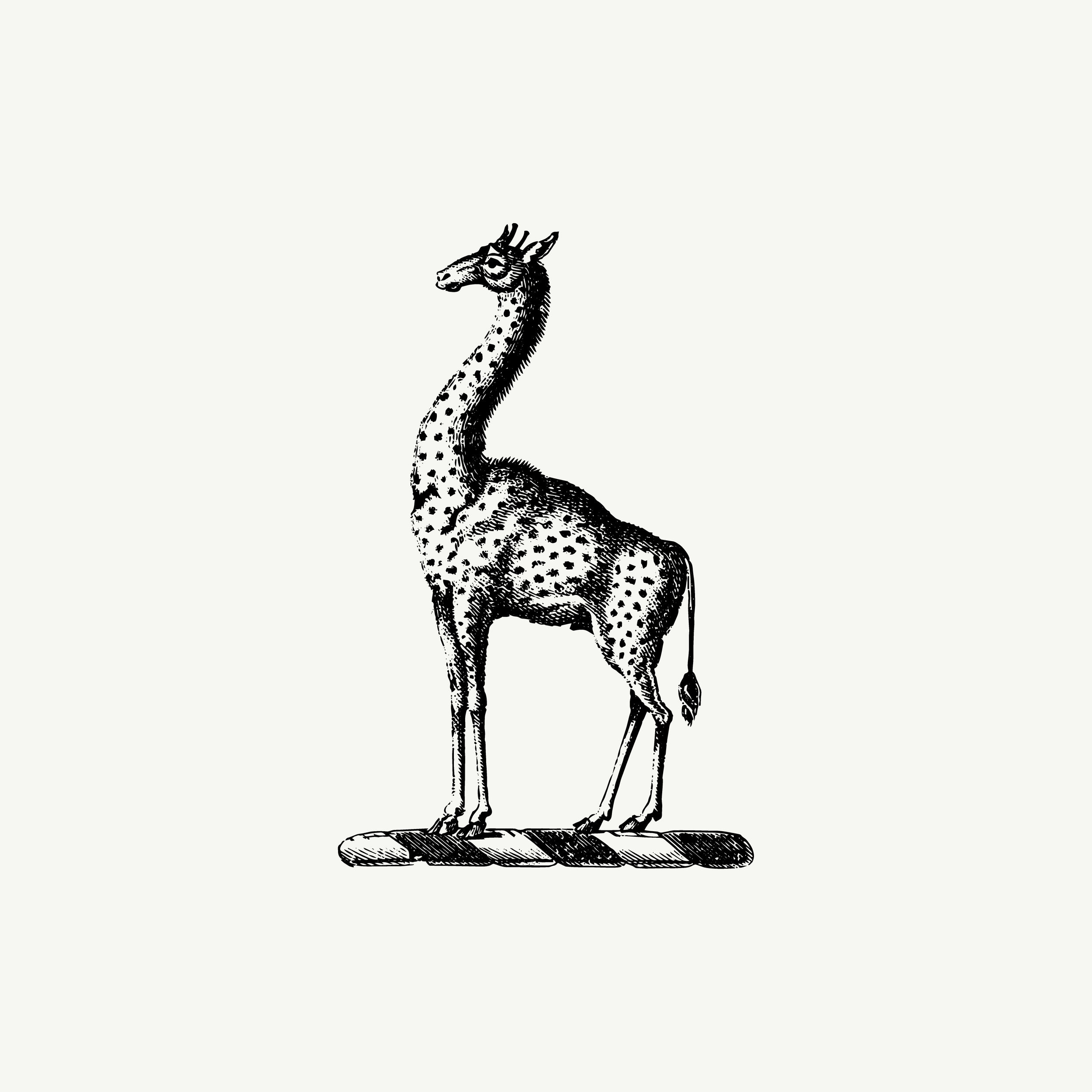 Historic engraved crest of a Giraffe, paired with the orientation line "Some perspectives change the view?" — from the Story & Sigil archive