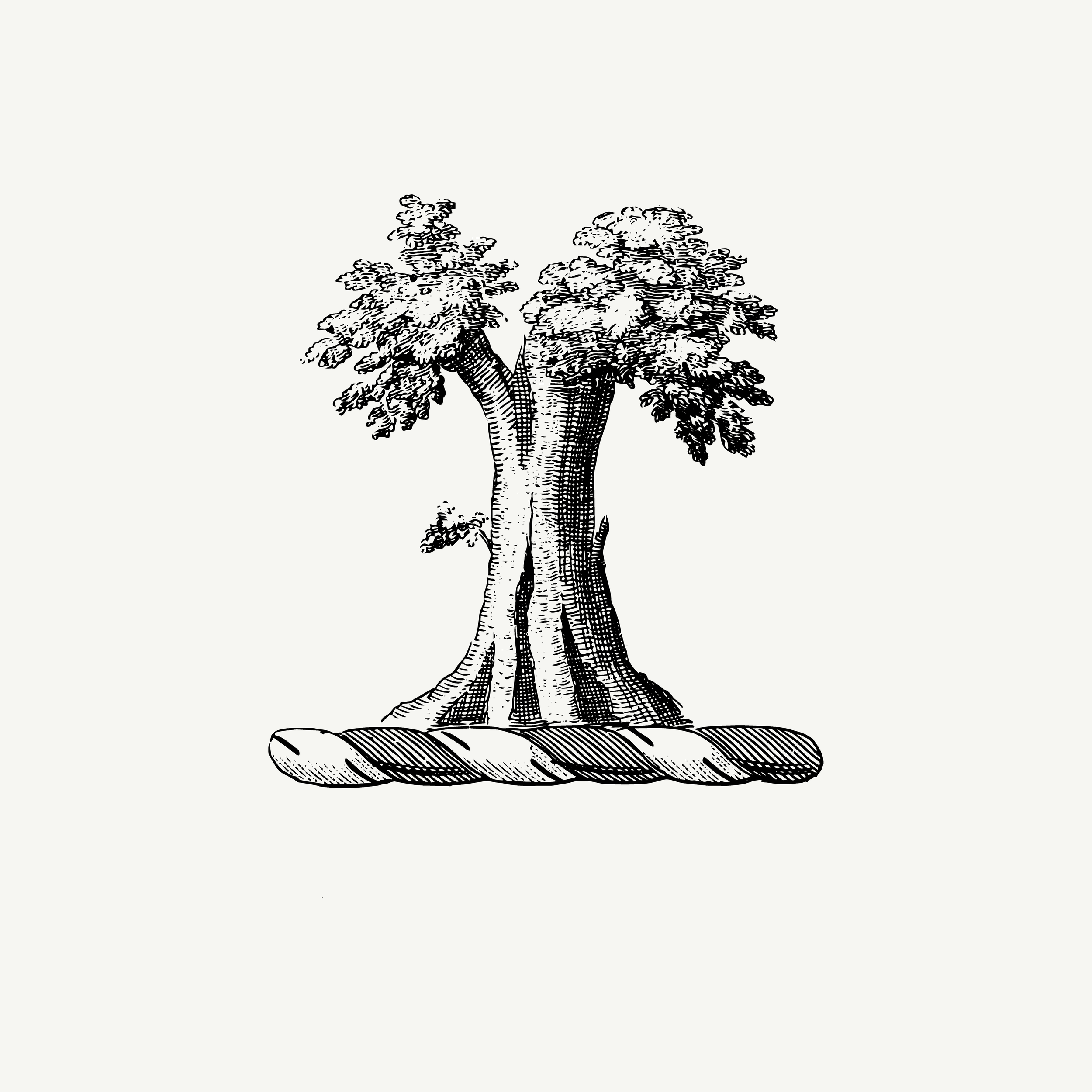 Engraved crest depicting two trees, historic botanical illustration, black and white