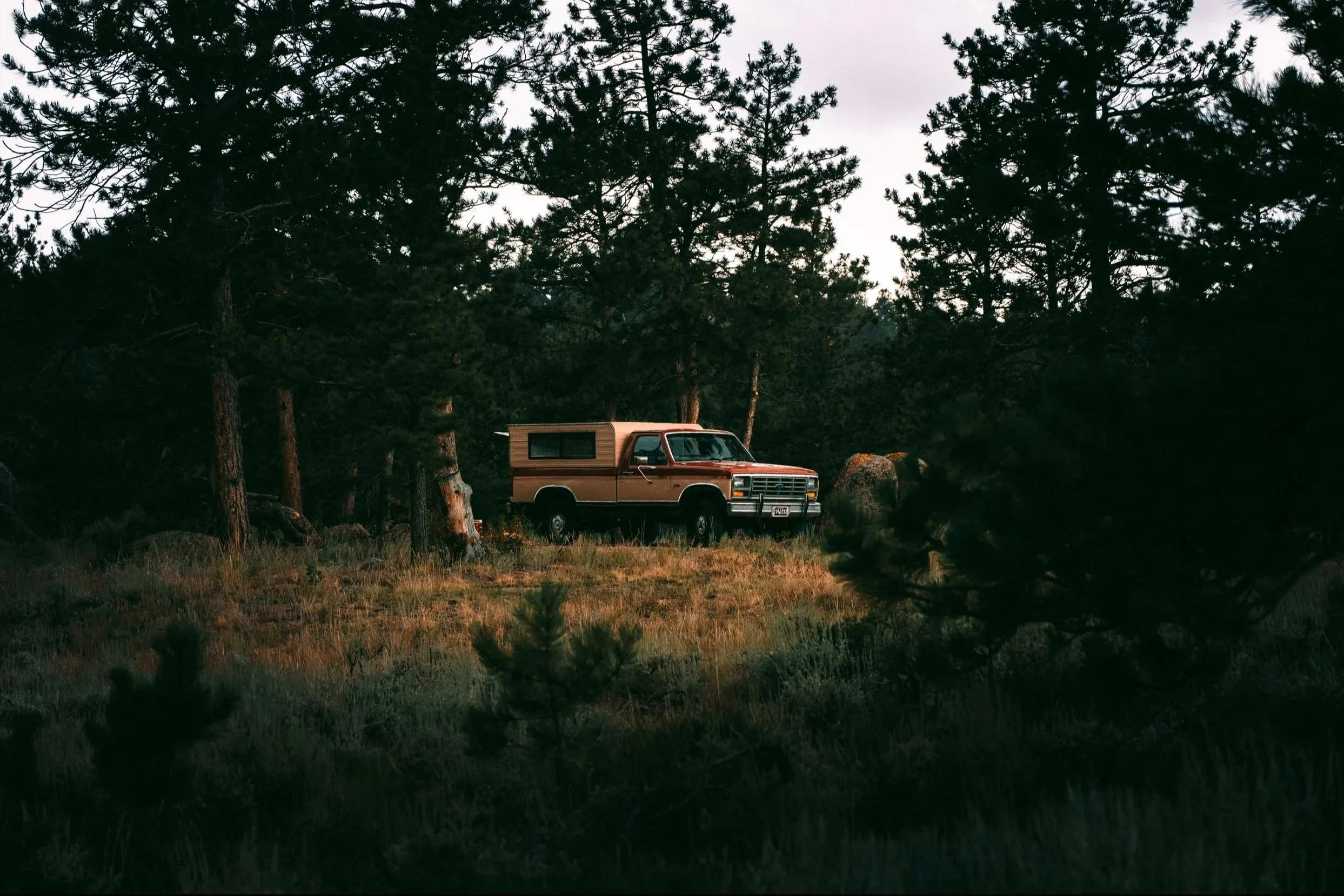 A vintage camper van parked among trees and tall grass in a forested area, with rocks scattered around and the sky overcast.