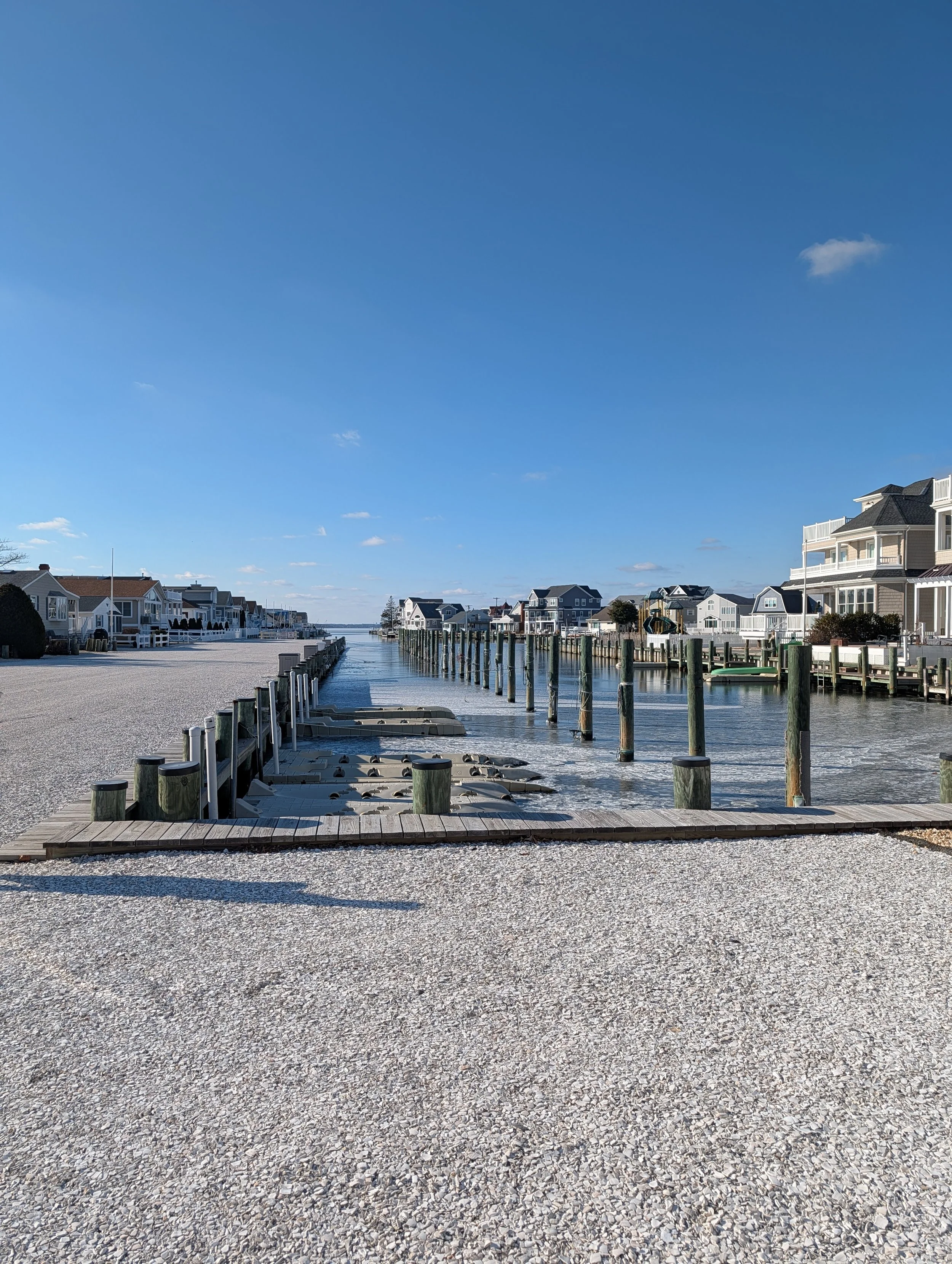 Marina by Susan Lambariello