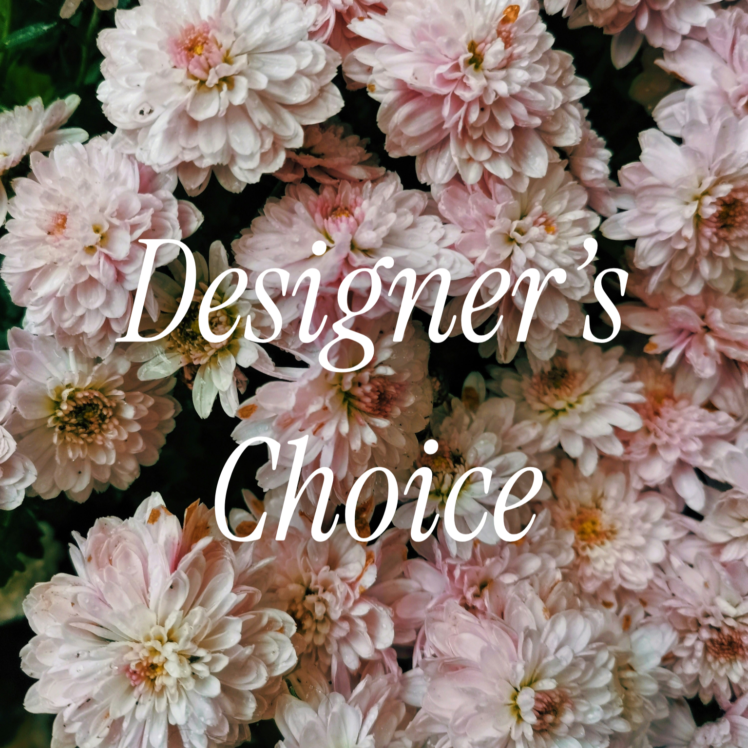 Designer's Choice