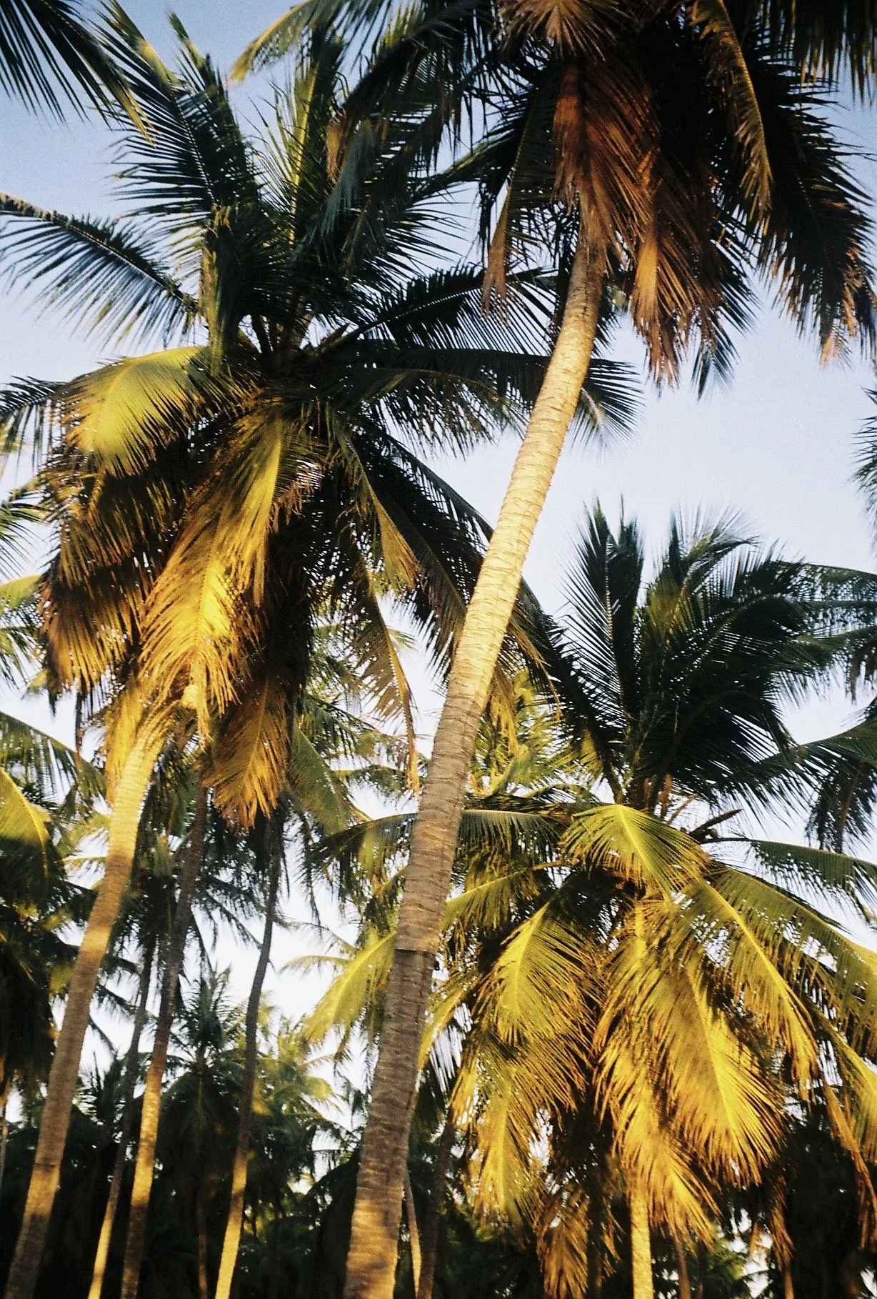 2023 - Sítio Paraíso, Jericoacoara