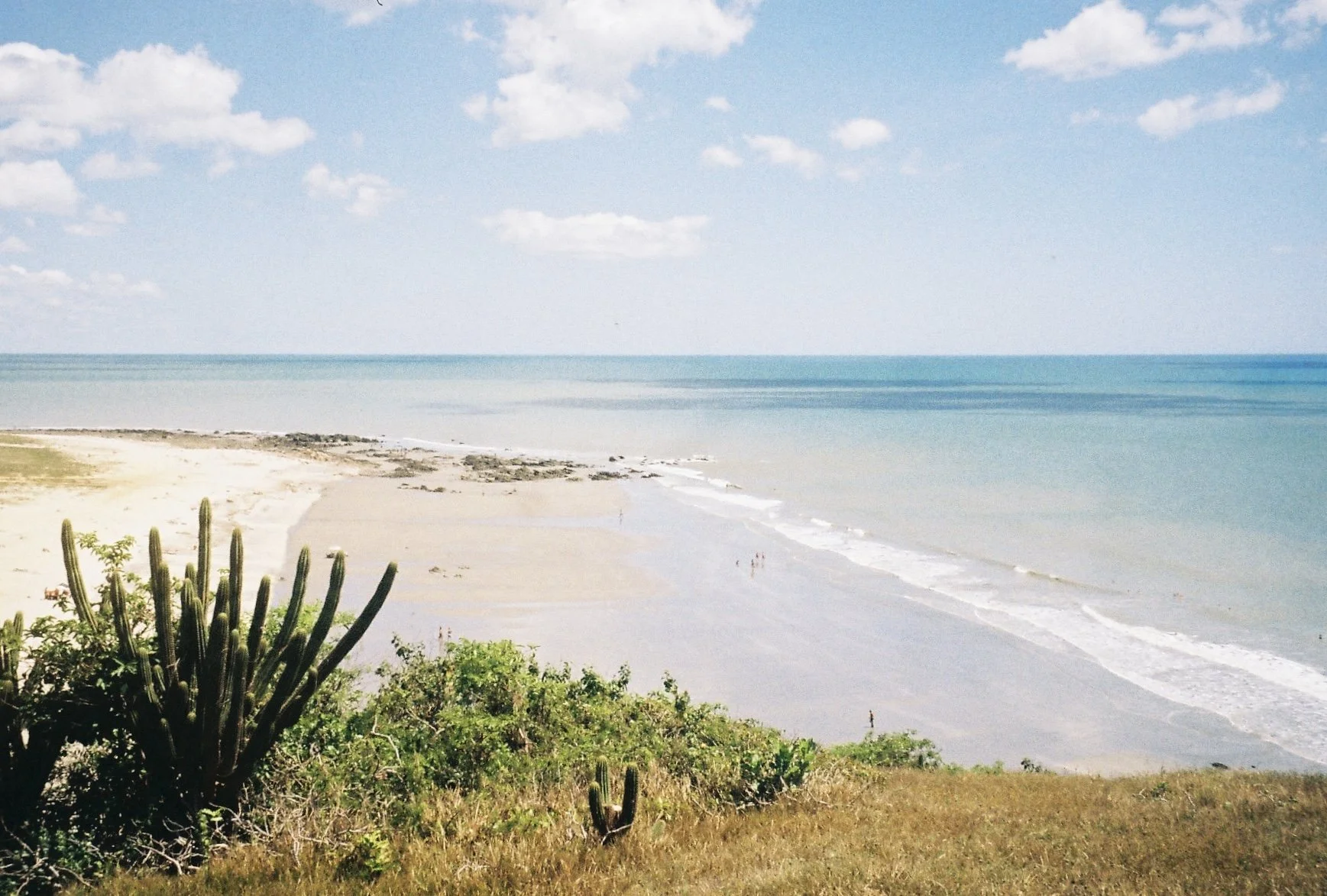 Strand mit Cactus und Büsche im Vordergrund, ruhiges Wasser und Himmel mit Wolken im Hintergrund.