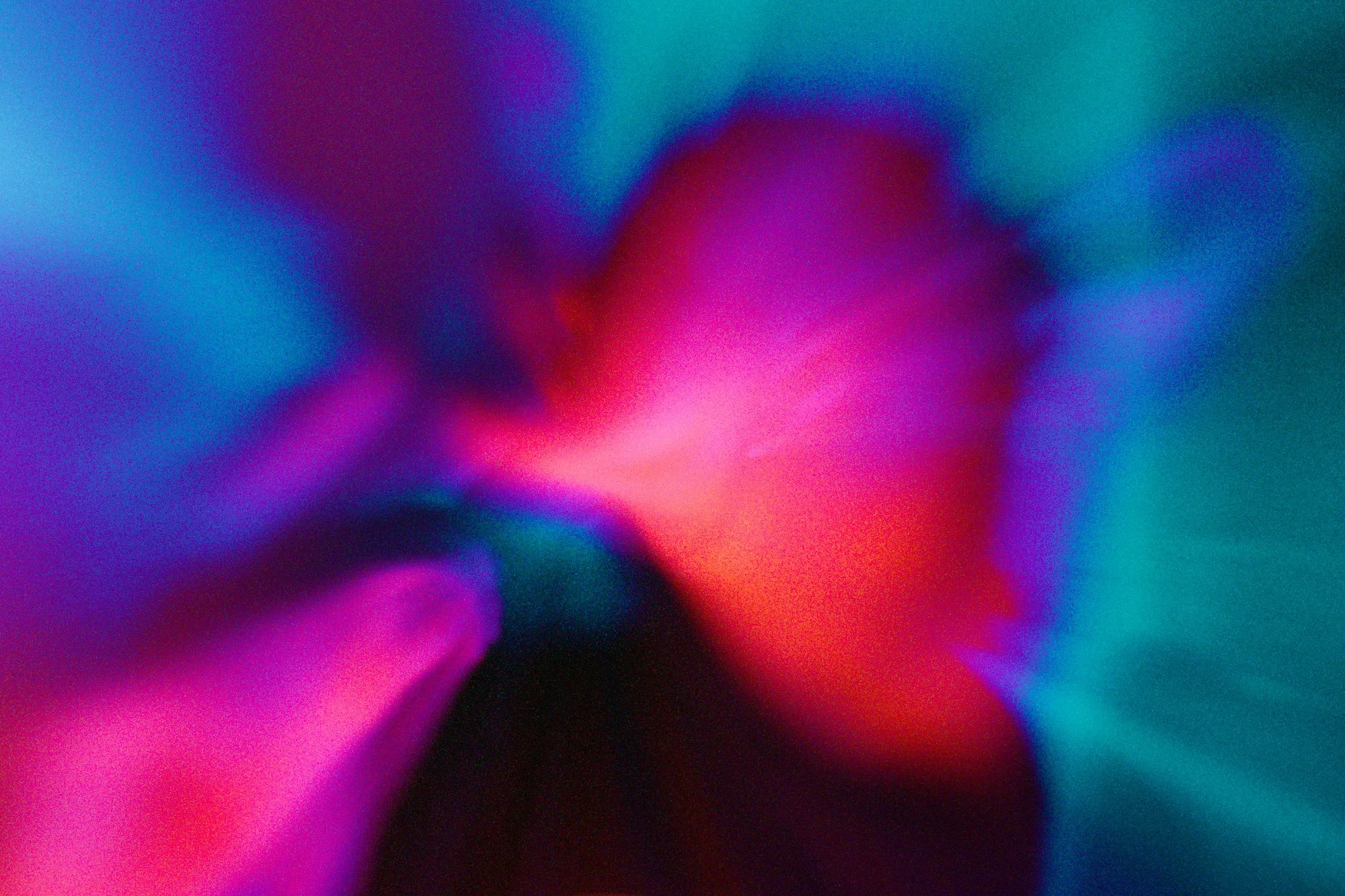 2026-01-24-BEYOND BLUE- 06.jpg