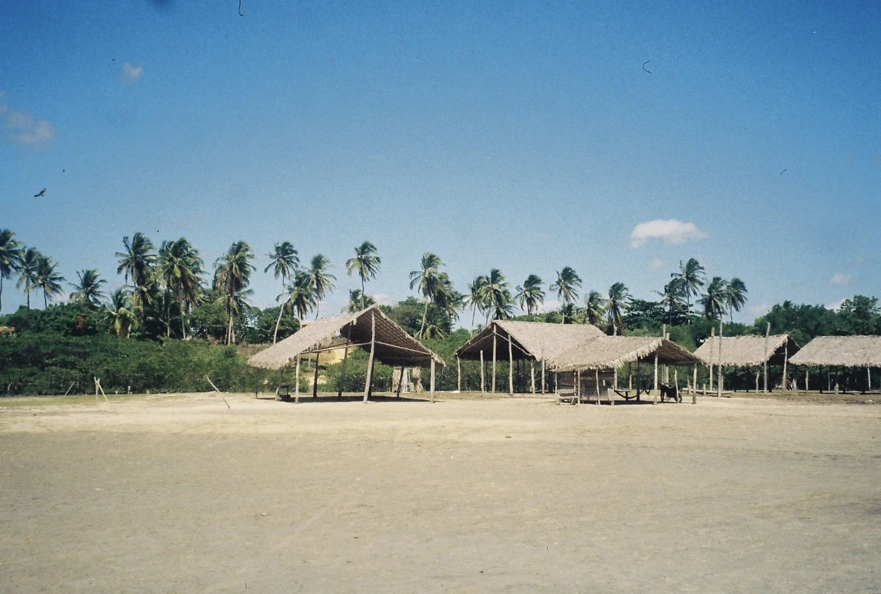 Strand mit einfachen Hütten und Palmen im Hintergrund