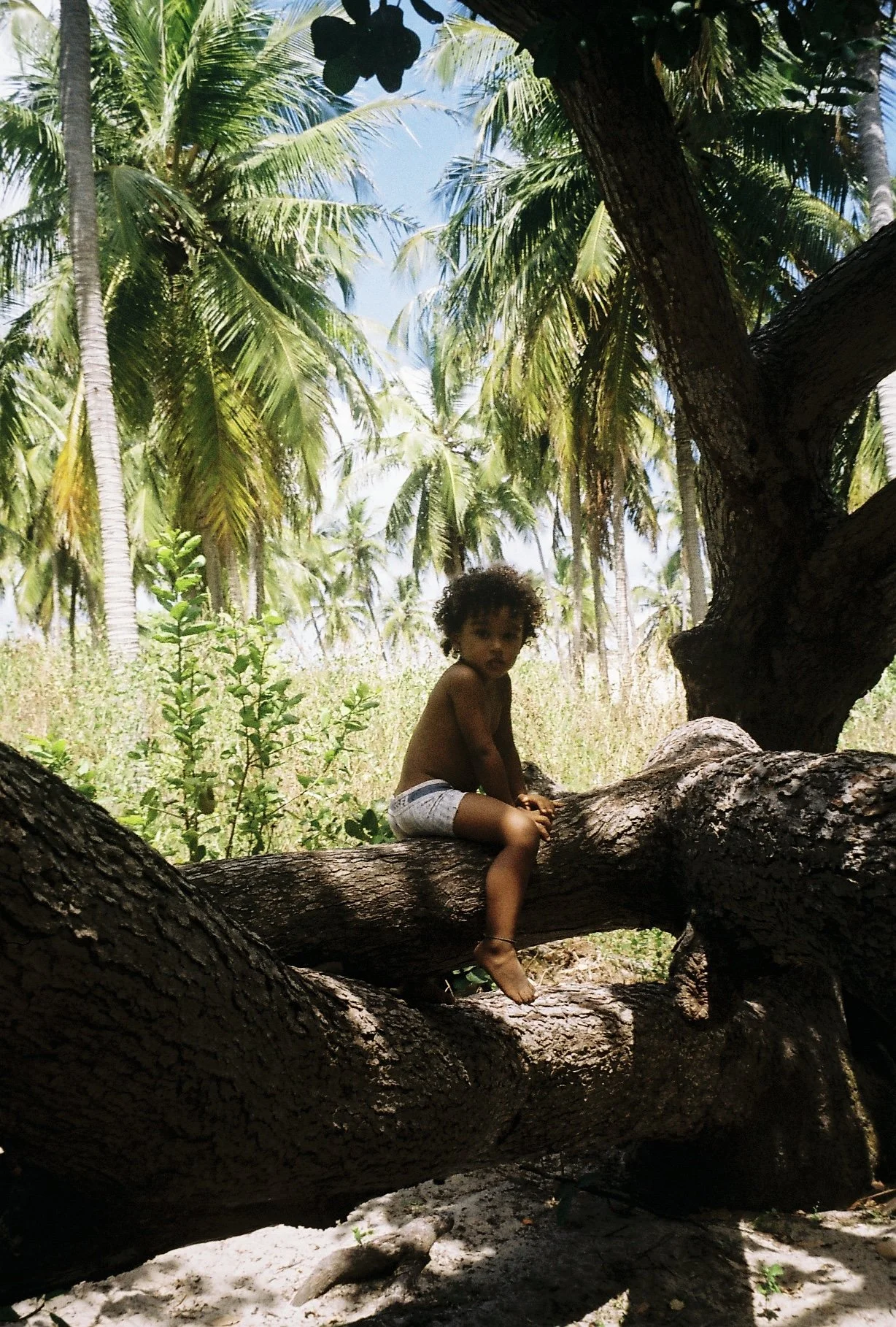 2023 - Sítio Paraíso, Jericoacoara
