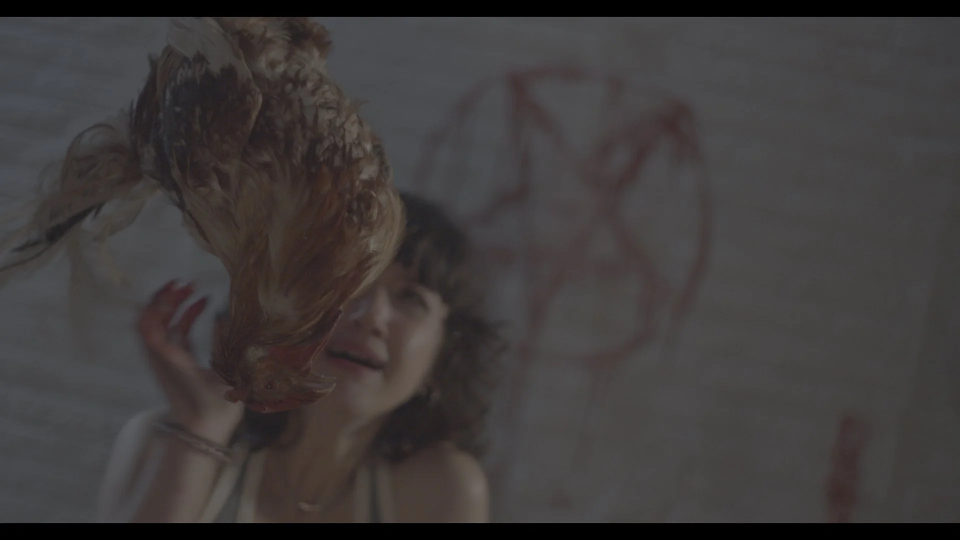 Erste Roh (Resolve)_01_07_57_07.jpg