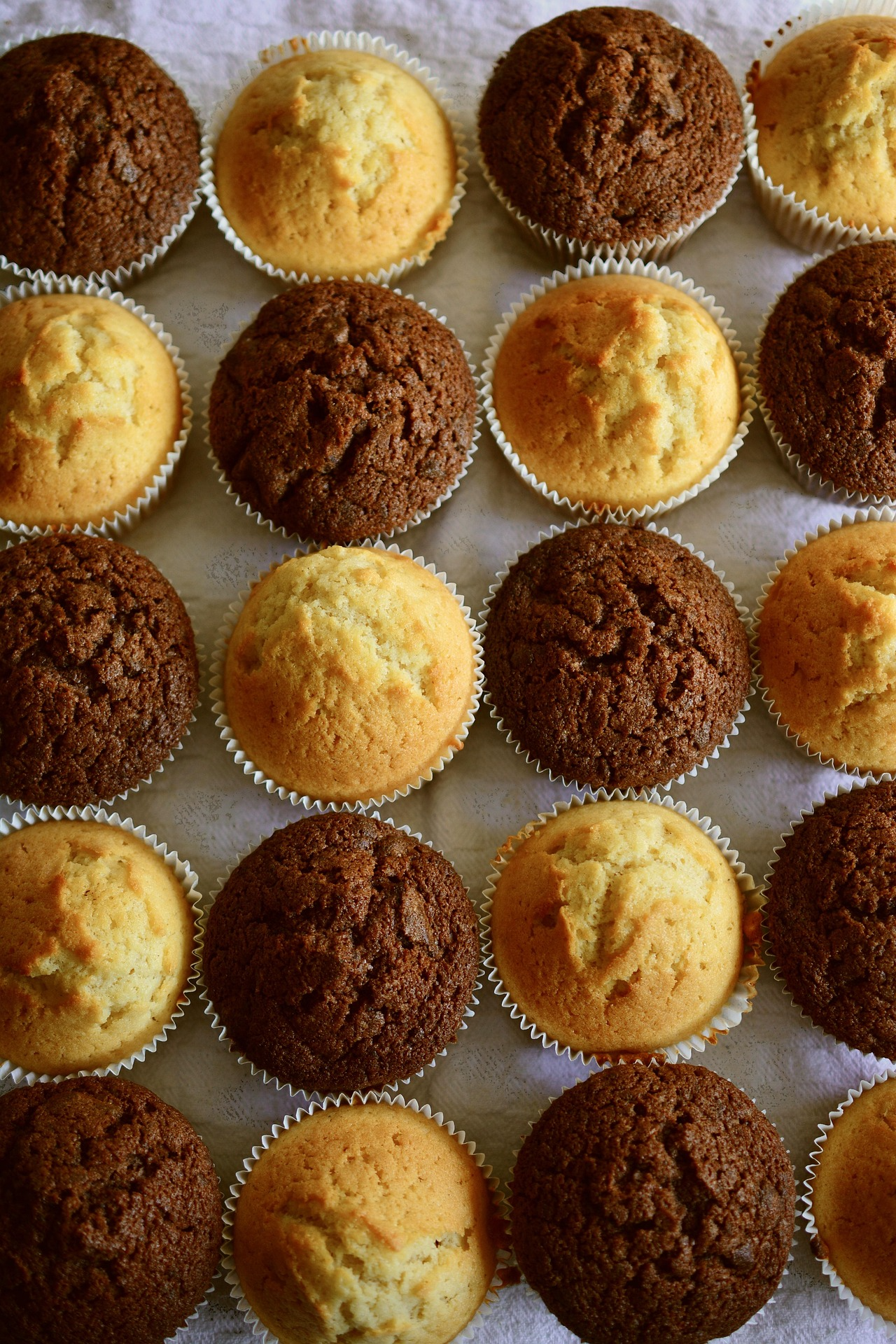 muffins-3272992_1920.png