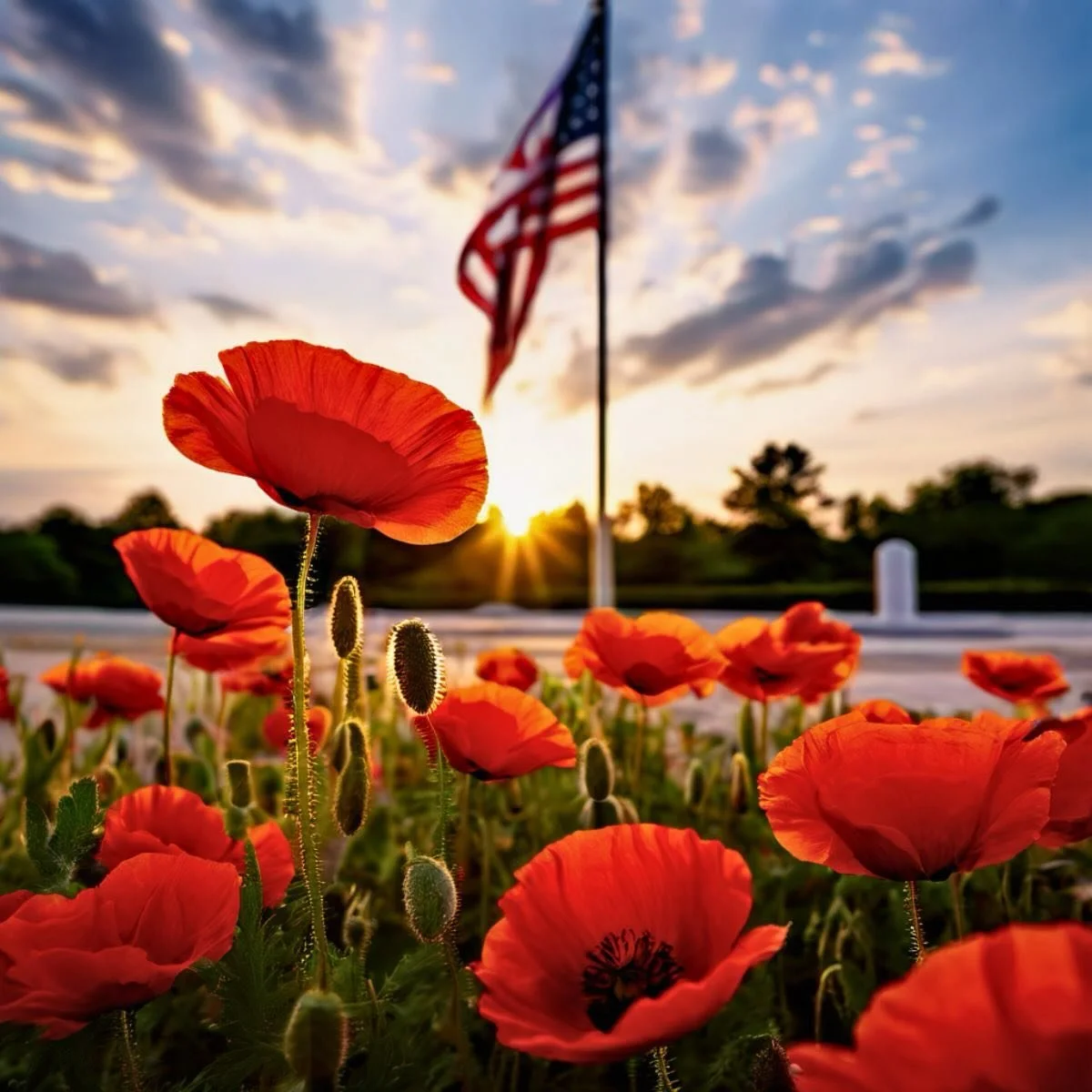 Today is to remember those that have fallen fighting for OUR freedom. ❤️Our freedom to work where we want. 🤍Our freedom to say what we want without political persecution. 💙Our freedom to live the way we desire. Our freedom to live in the greatest c