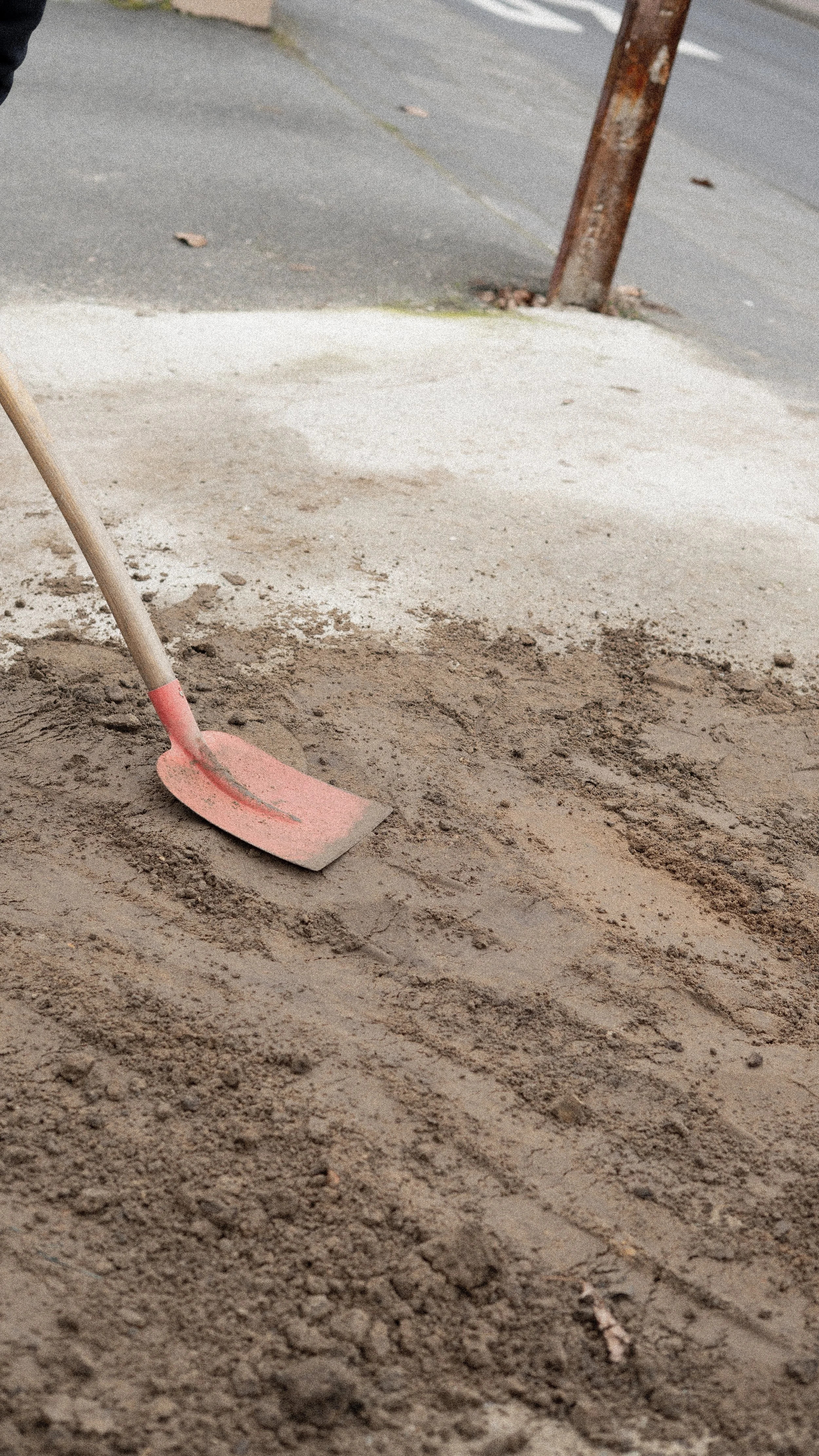 Bagger schaufelt Sand auf einer Baustelle auf, neben einer Straße.