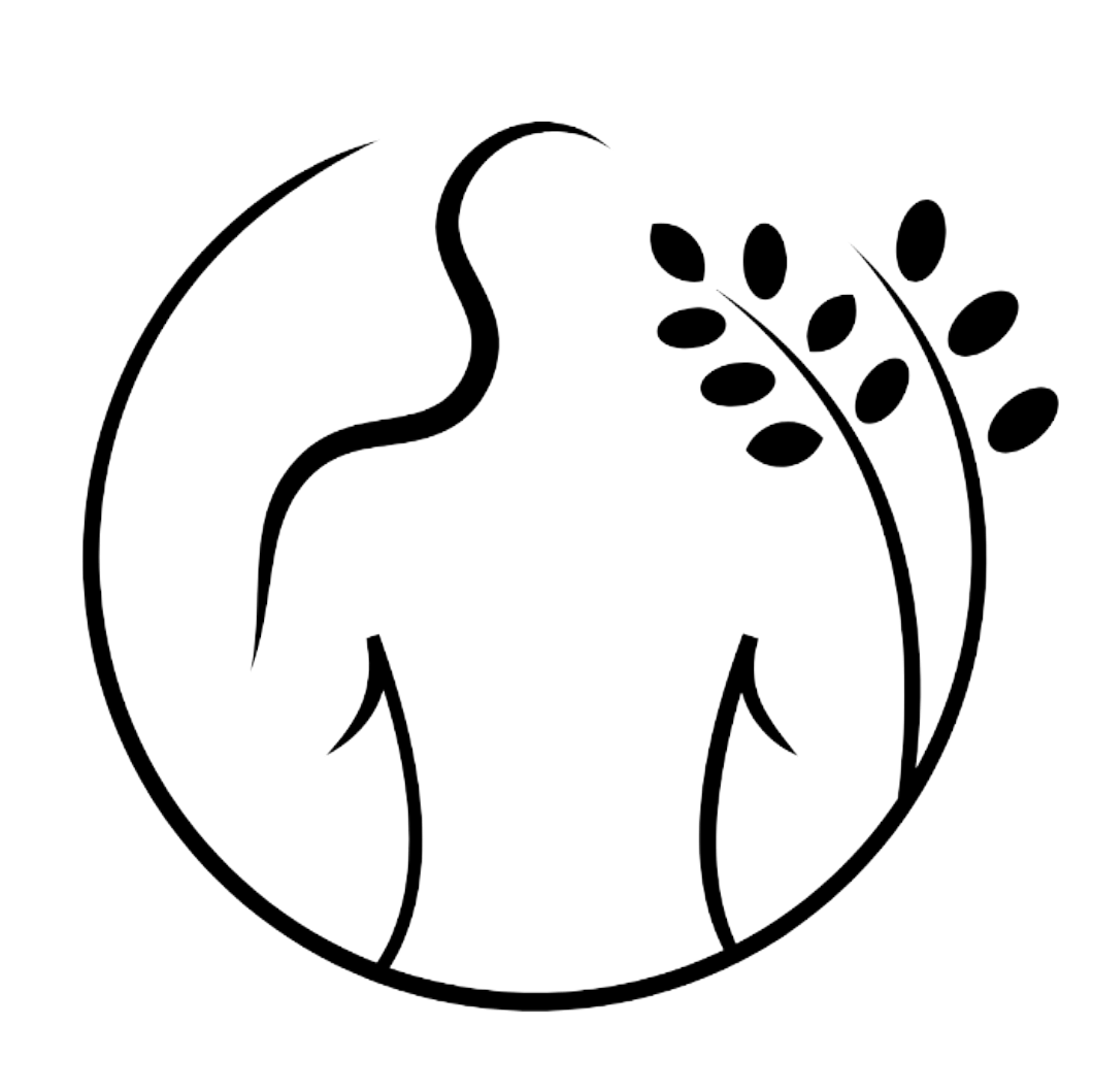 Sprostitvena masaža | Remedus Ljubljana