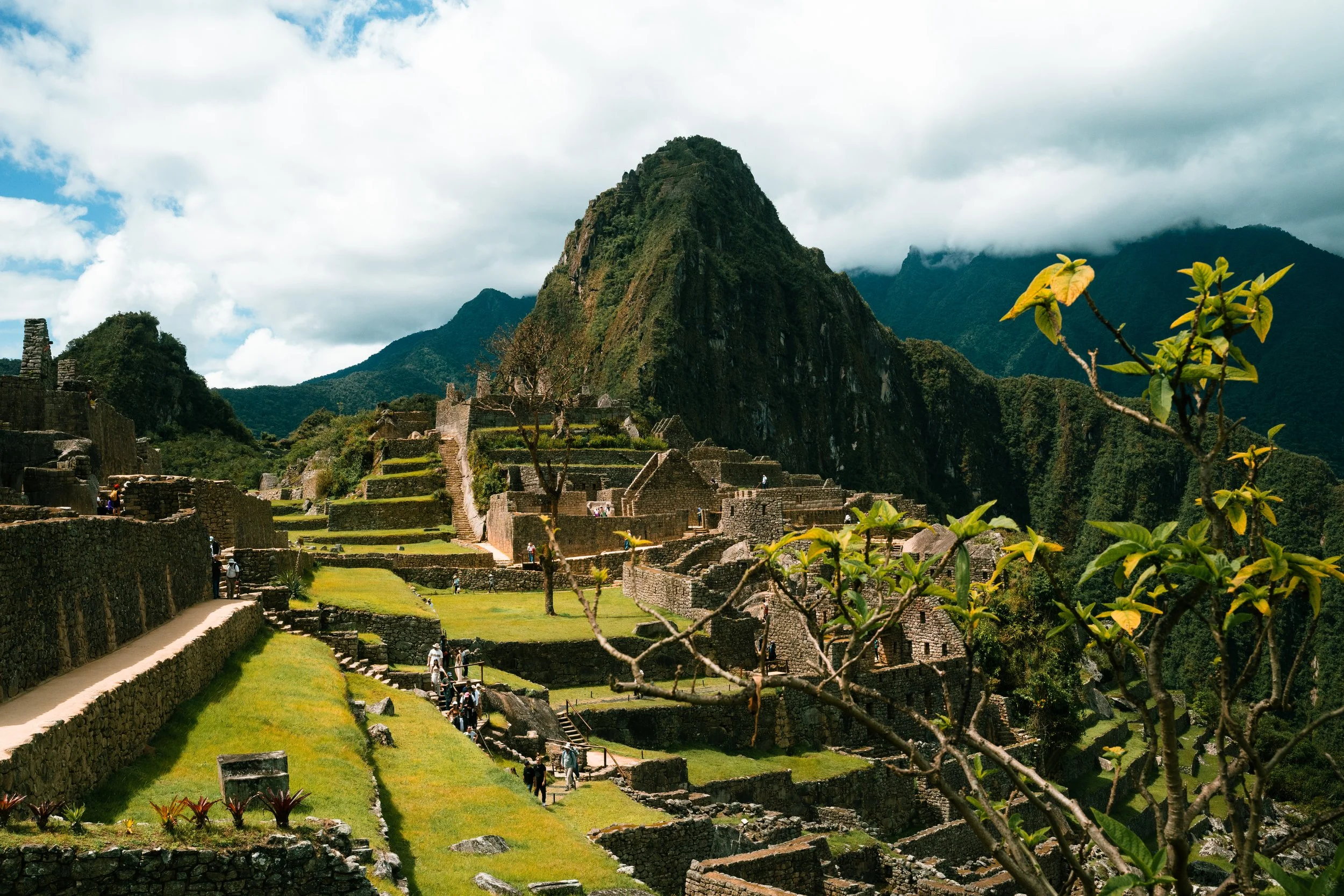Ancient Inca ruins with terraced stone structures on a hillside, with Machu Picchu mountain in the background and a leafy plant in the foreground.