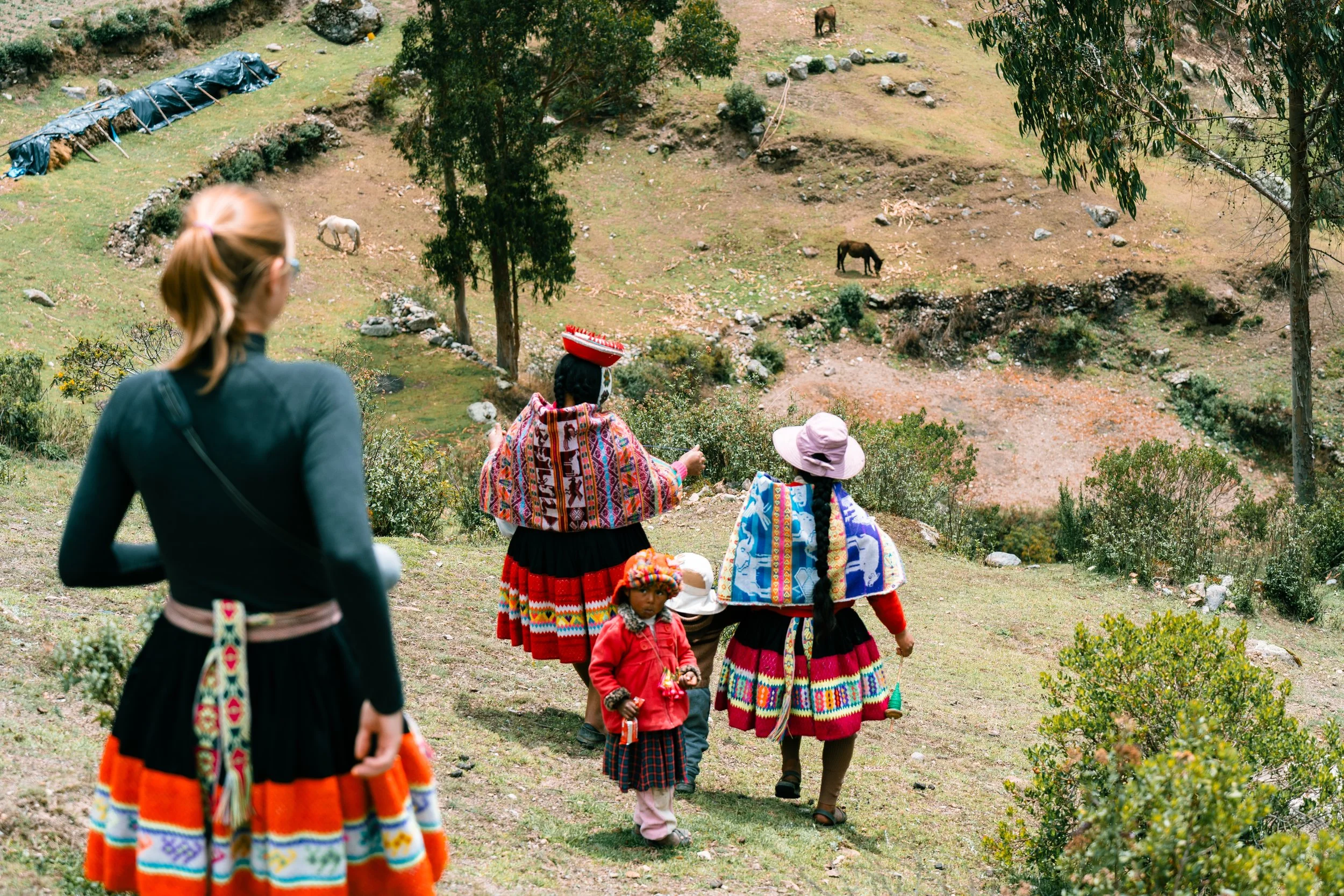 Group of indigenous women and children walking on a grassy hillside with grazing animals in background, wearing colorful traditional clothing and accessories.