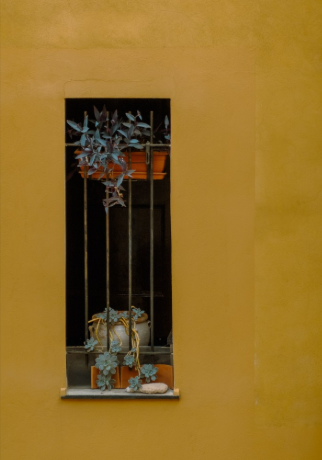 Yellow Window