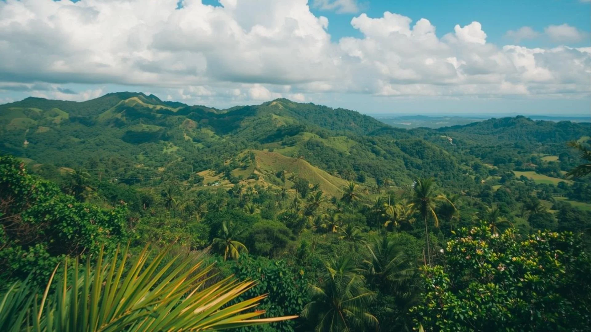 Vista de una región montañosa con muchas áreas verdes, árboles y nubes en el cielo.