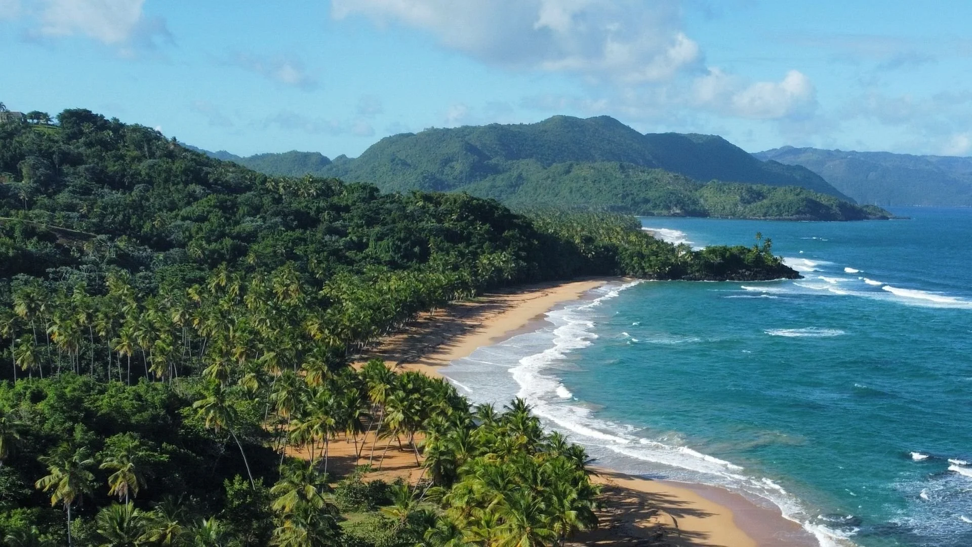 Vista panorámica de una playa con arena dorada, rodeada de palmeras y vegetación tropical en Samana