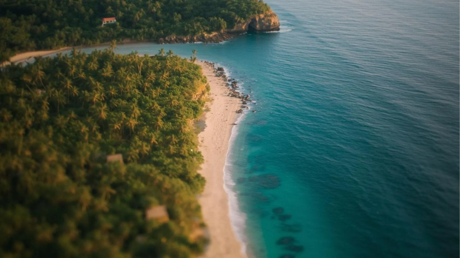 Vista aerial de una playa de arena blanca y aguas turquesa en samana