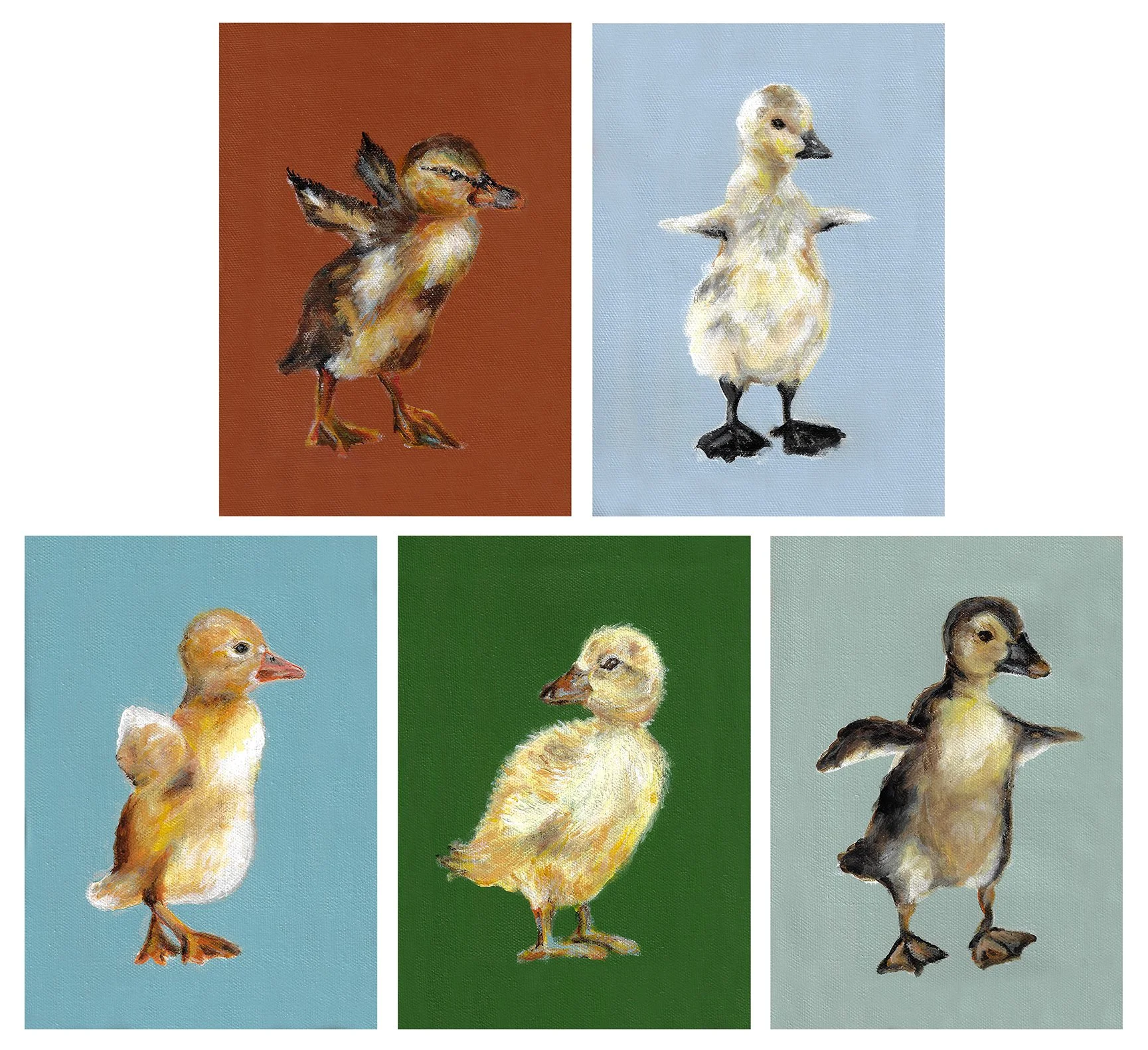 ducks white.jpg