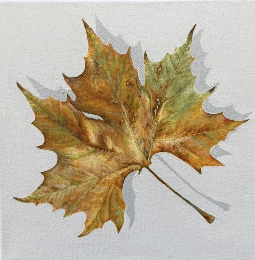 One Last Turn Limited Edition Print