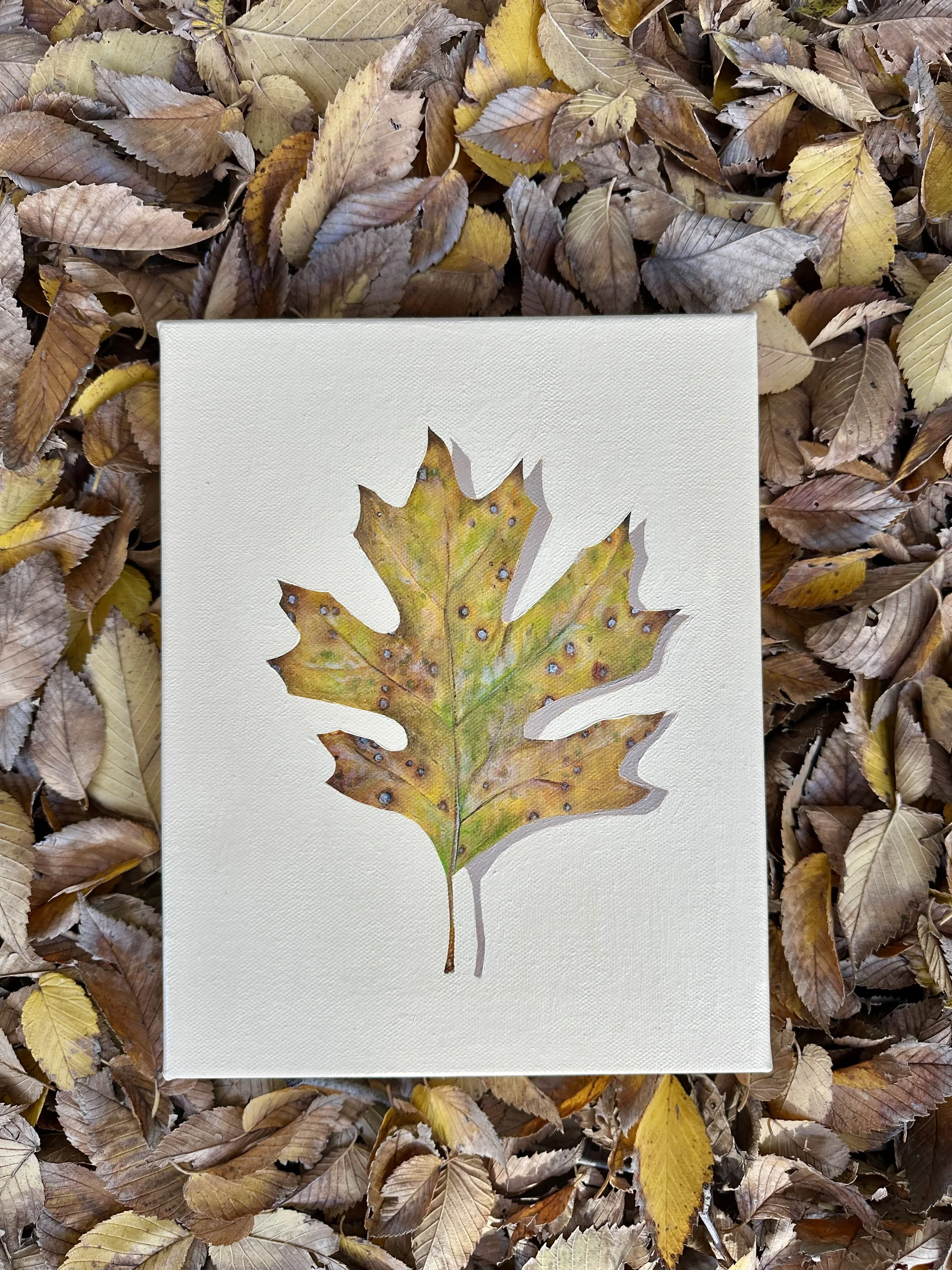 It’s Still Fall Y’all