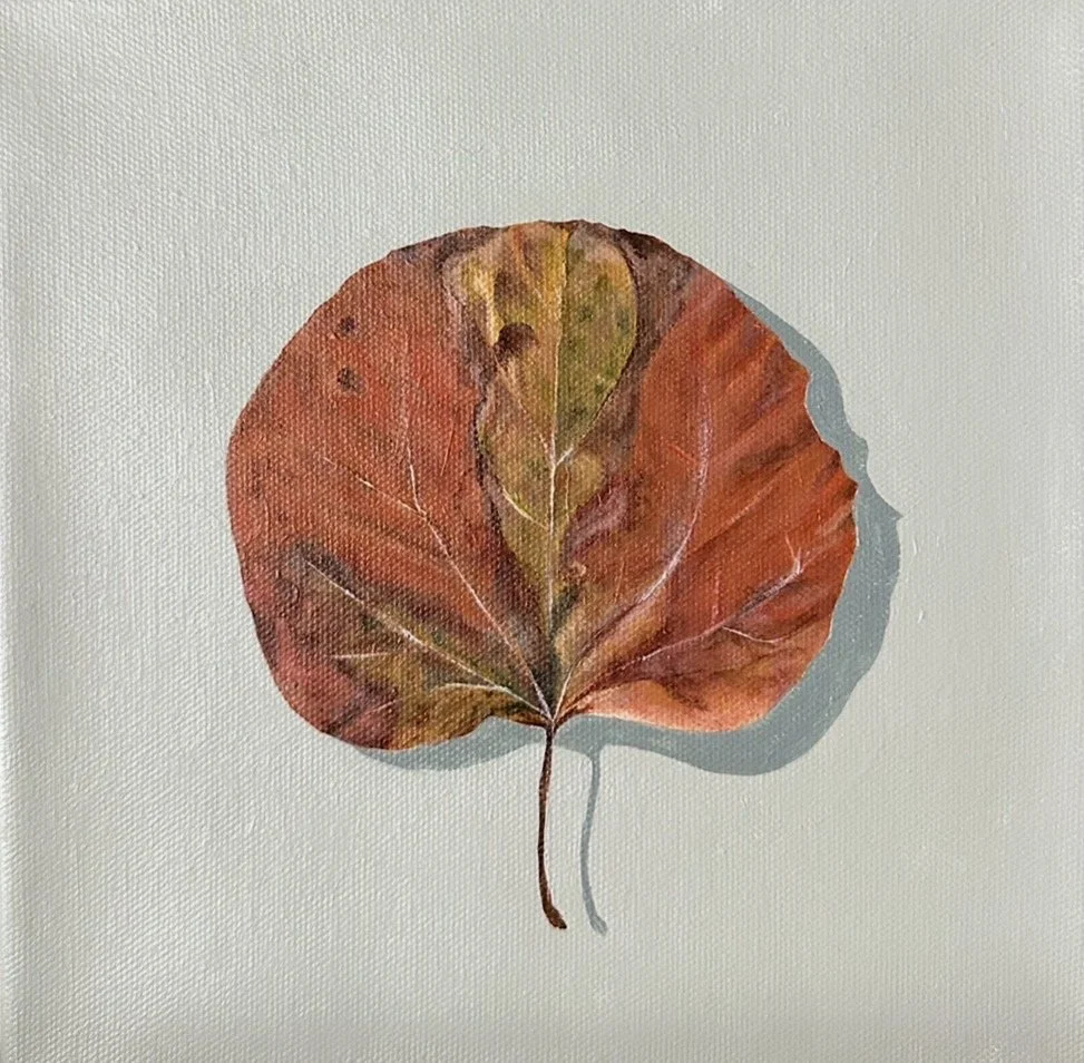 Seasons Change Limited Edition Print