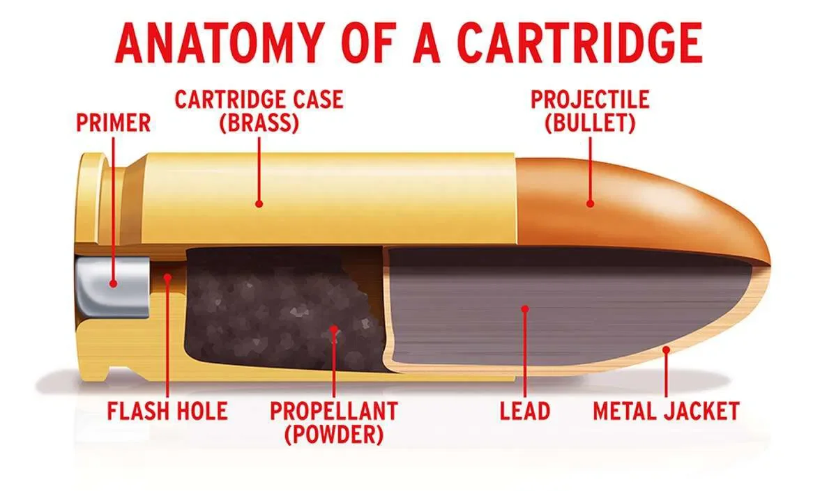 Diagram labeled 'Anatomy of a Cartridge' showing a cross-section of a bullet with parts including primer, flash hole, propellant powder, cartridge case made of brass, lead, metal jacket, and projectile or bullet.
