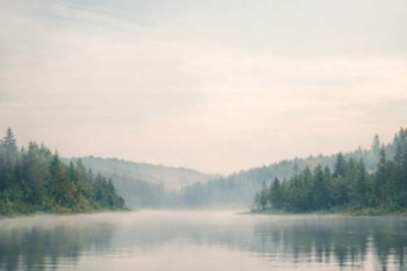 A calm river flowing through a forested landscape with mist rising above the water.