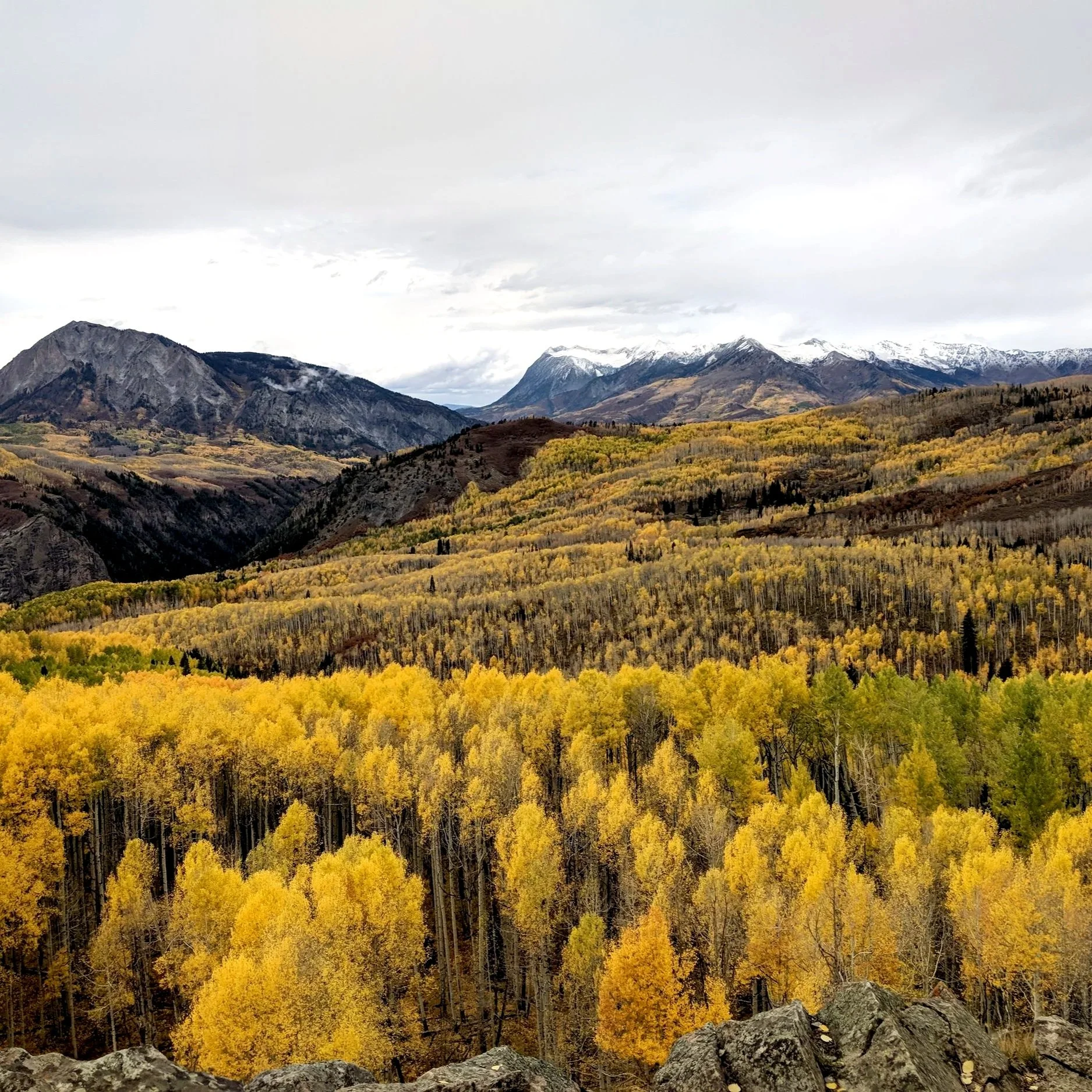 Scenic mountain landscape with snow-capped peaks in the background and forested hills in autumn colors in the foreground.