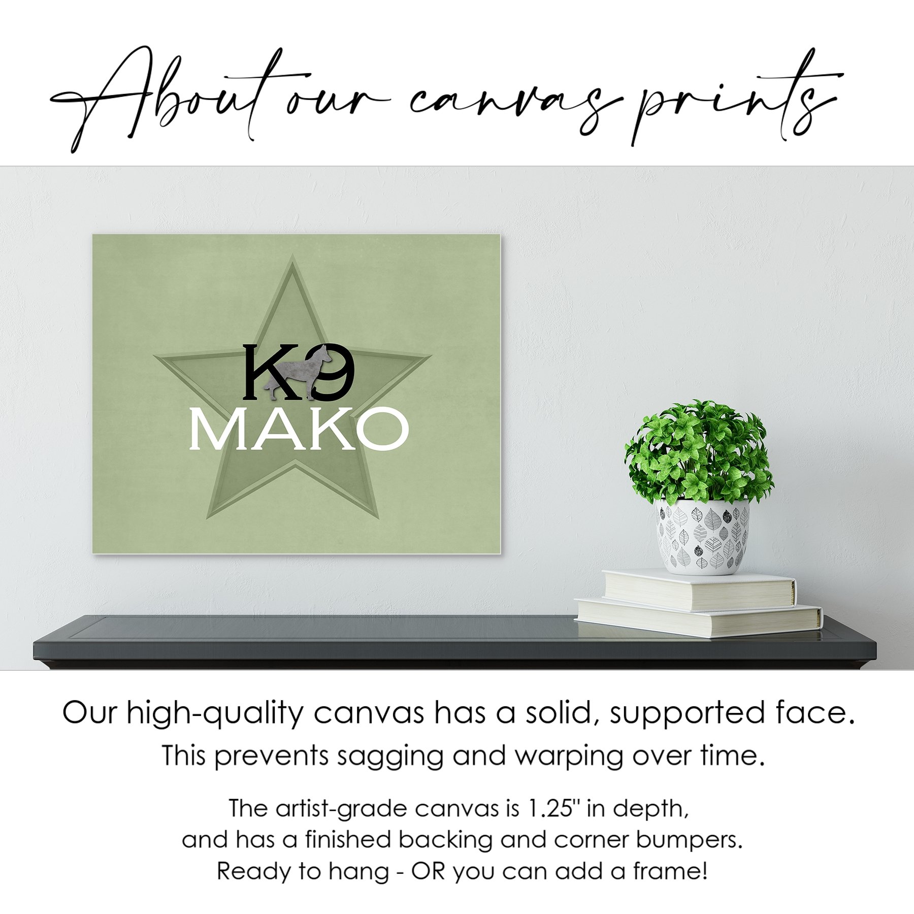 badge and star 4.jpg