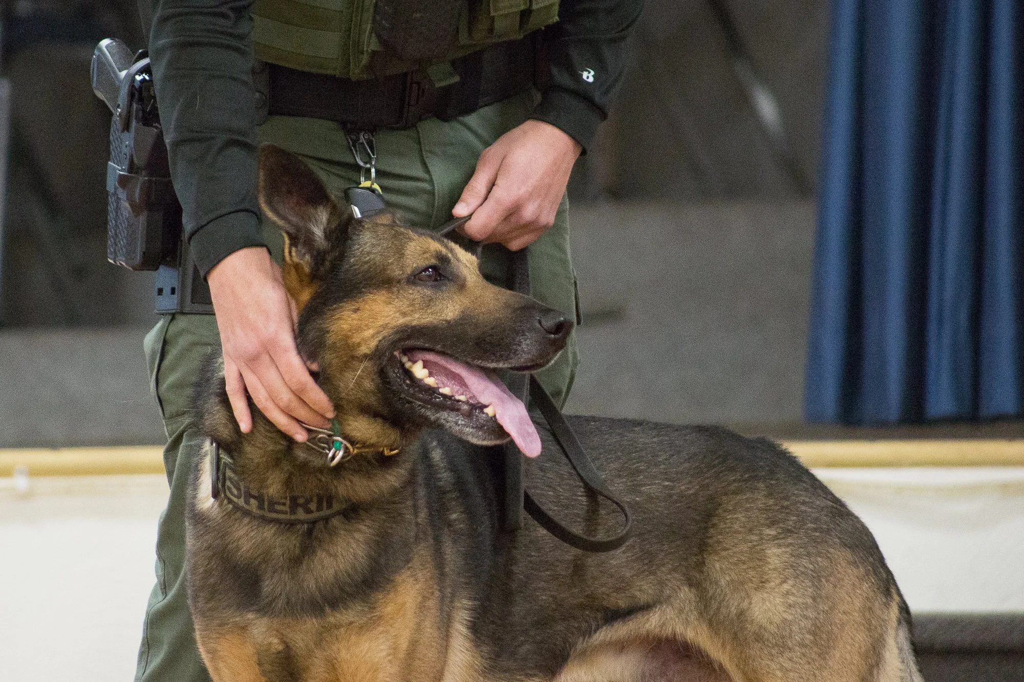 LaCasa demo -103.jpg