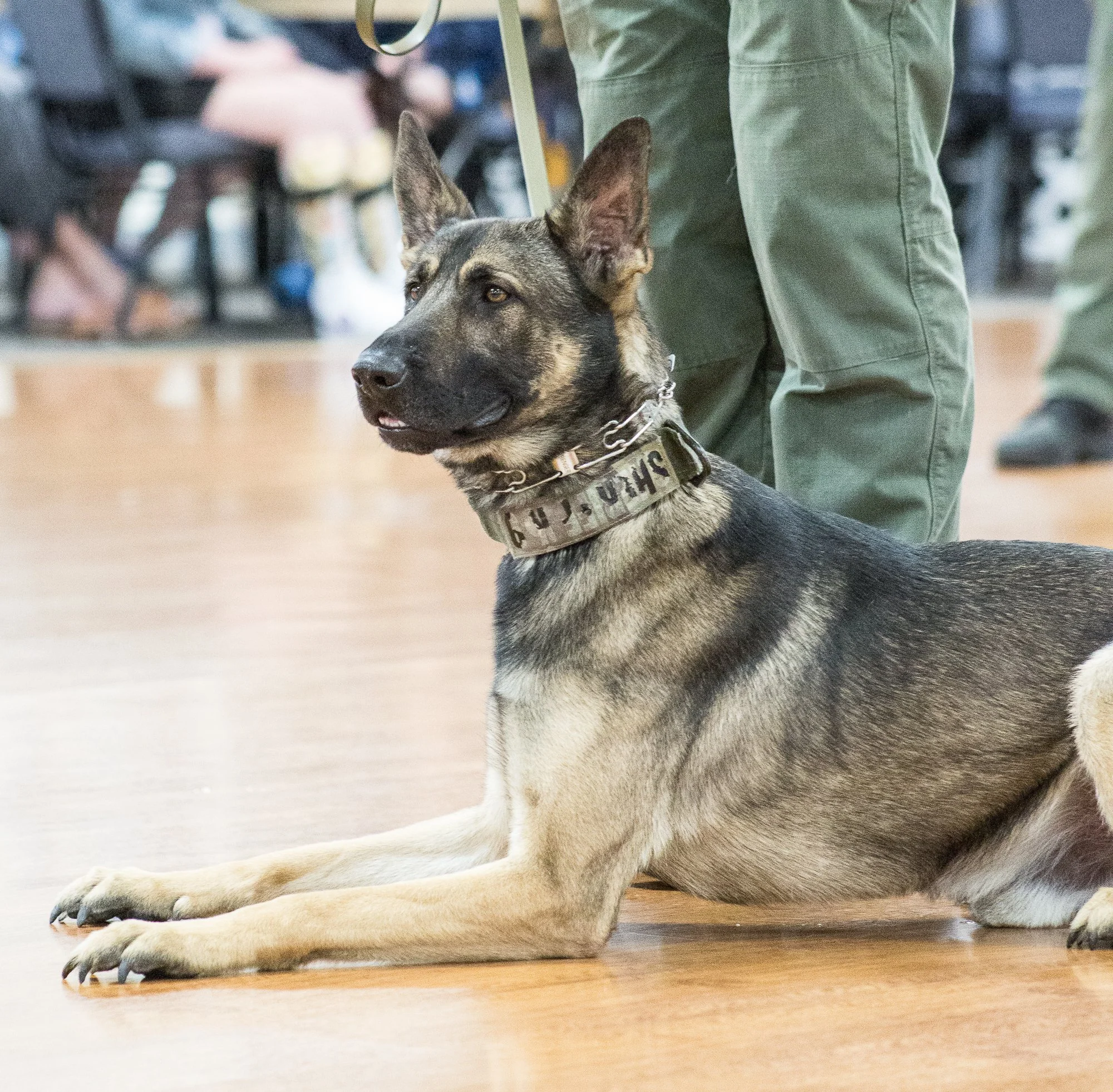 LaCasa demo -125.jpg