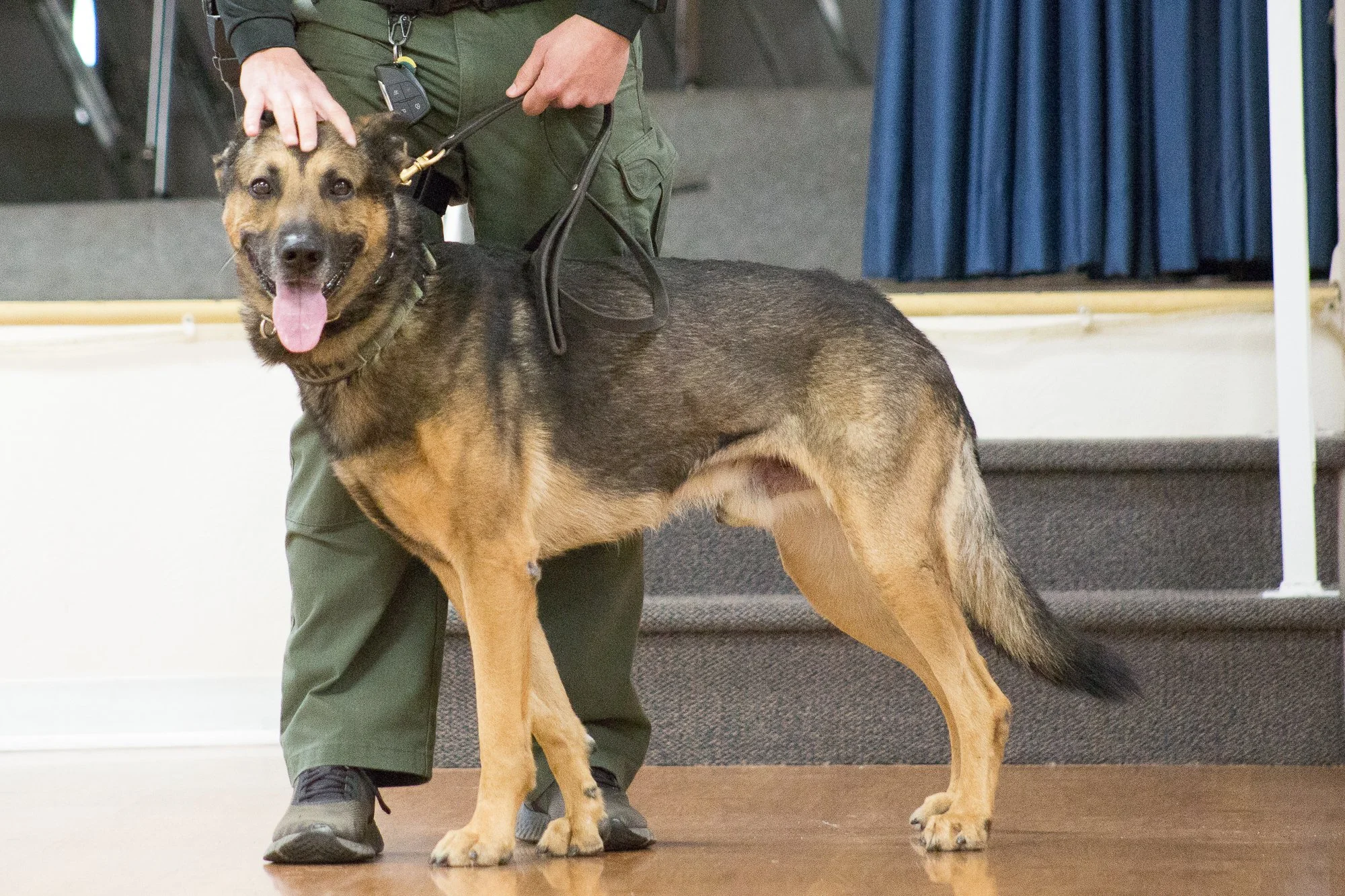 LaCasa demo -102.jpg