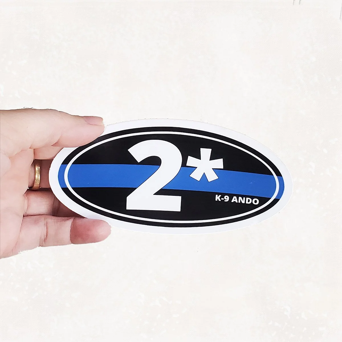 2 asterisk oval sticker mockup CUSTOM web.jpg