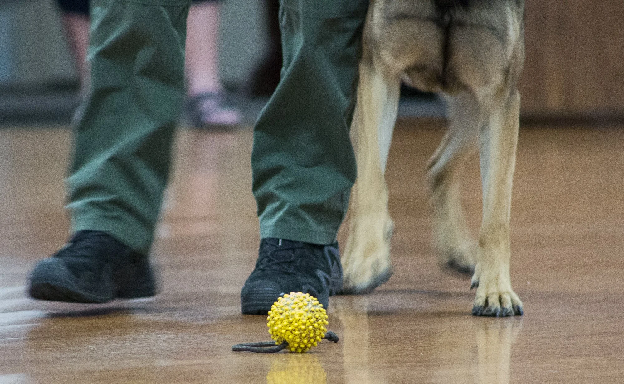 LaCasa demo -128.jpg