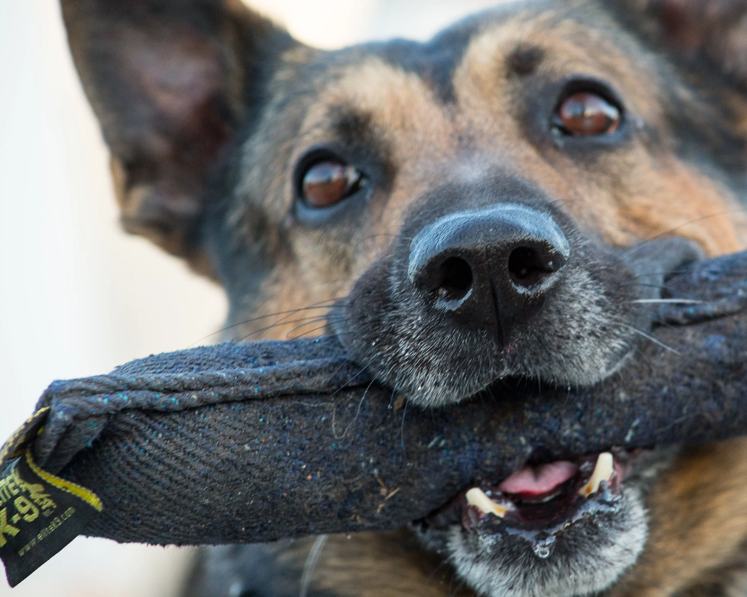 training 2 24-108.jpg