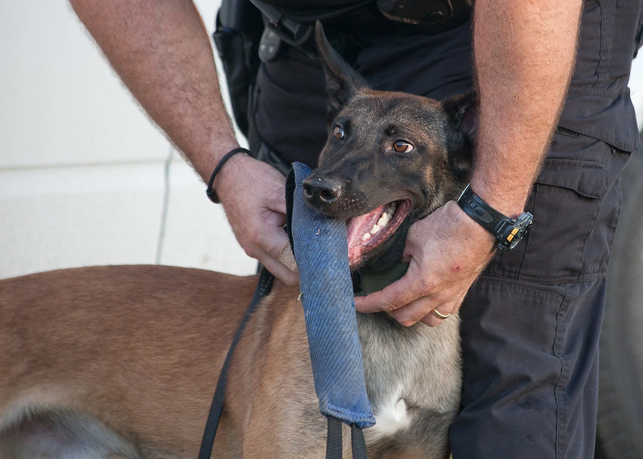 k9demo101613-113.JPG