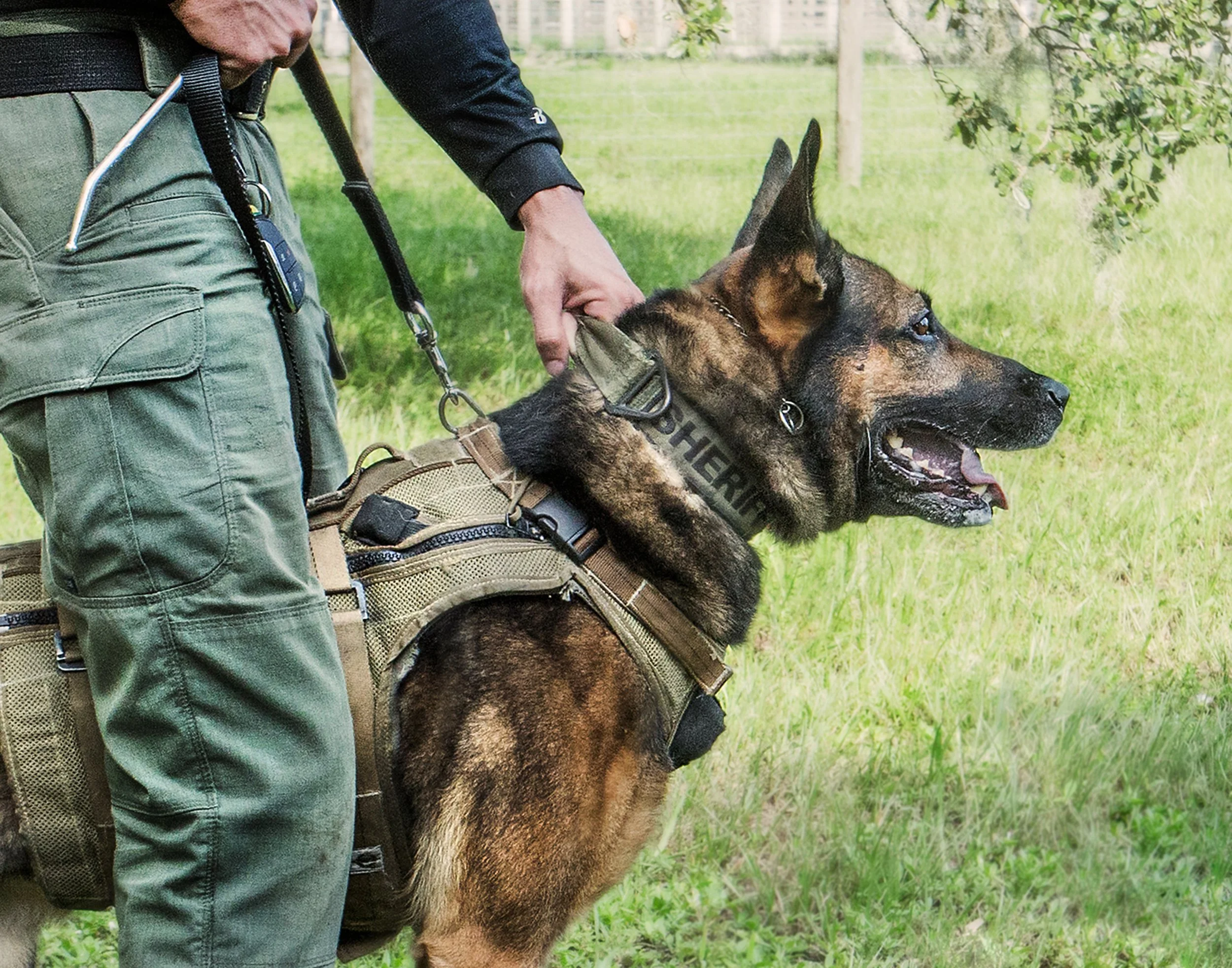 SSO 08 23-158 11x14.jpg