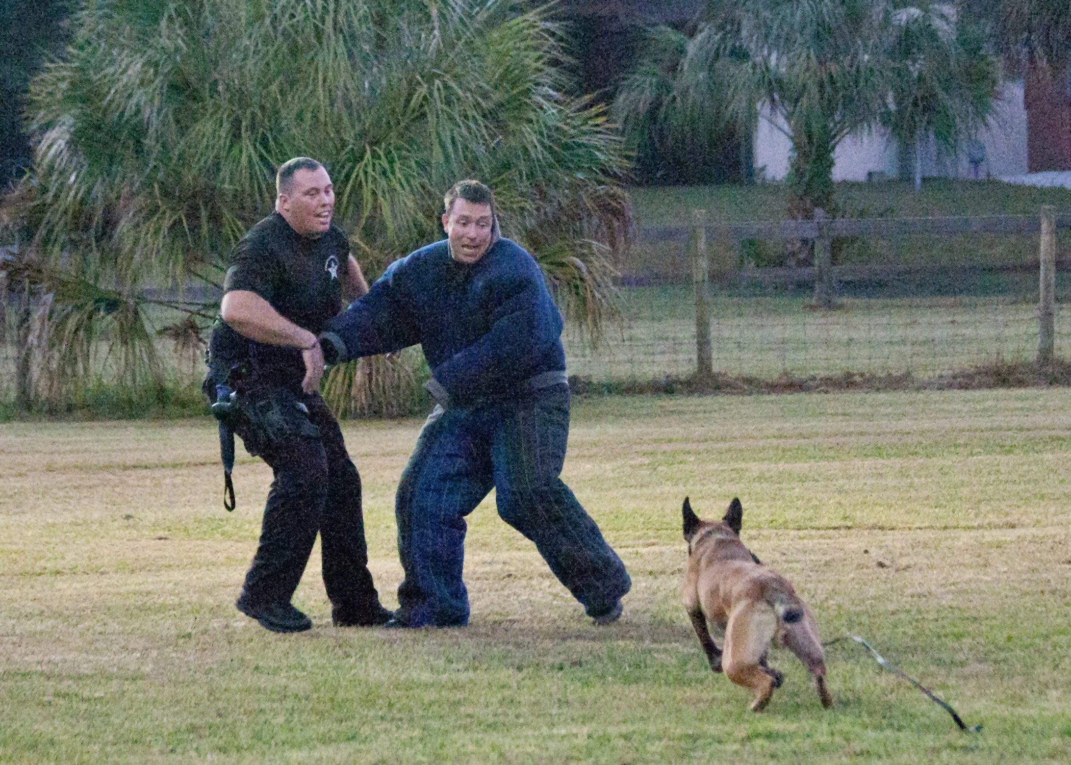k9demo101613-177.JPG