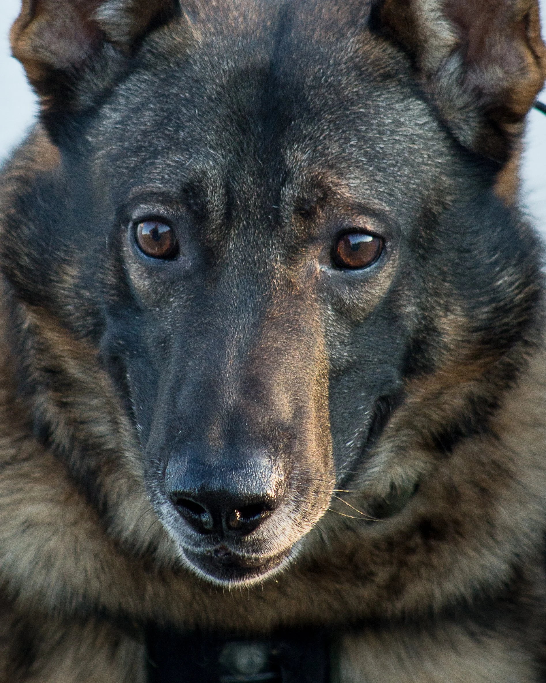 training 2 24-105.jpg