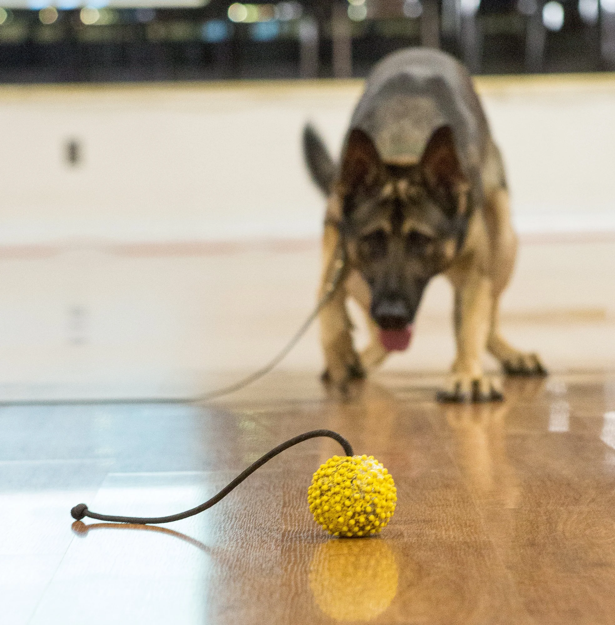 LaCasa demo -133.jpg