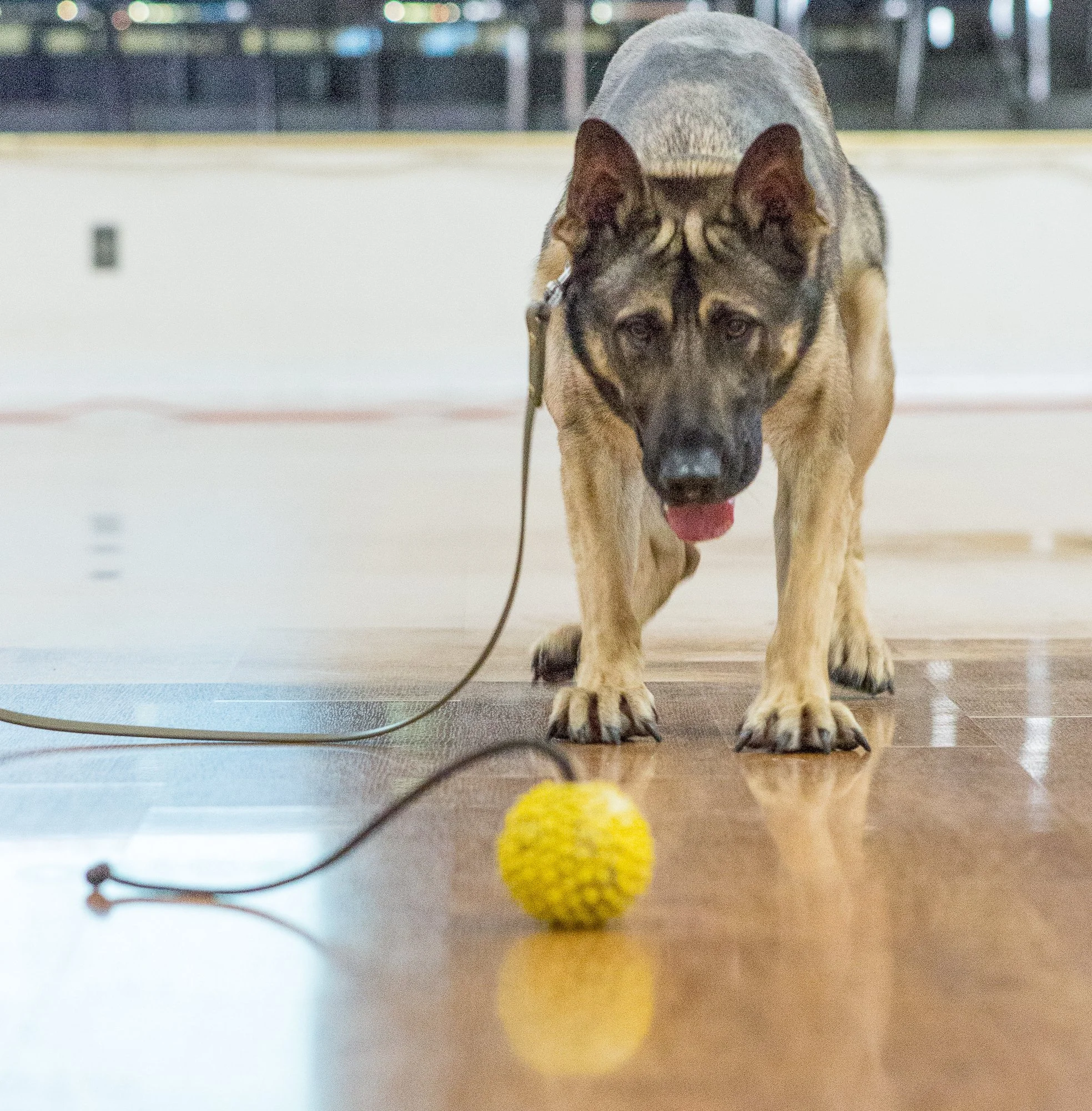 LaCasa demo -134.jpg