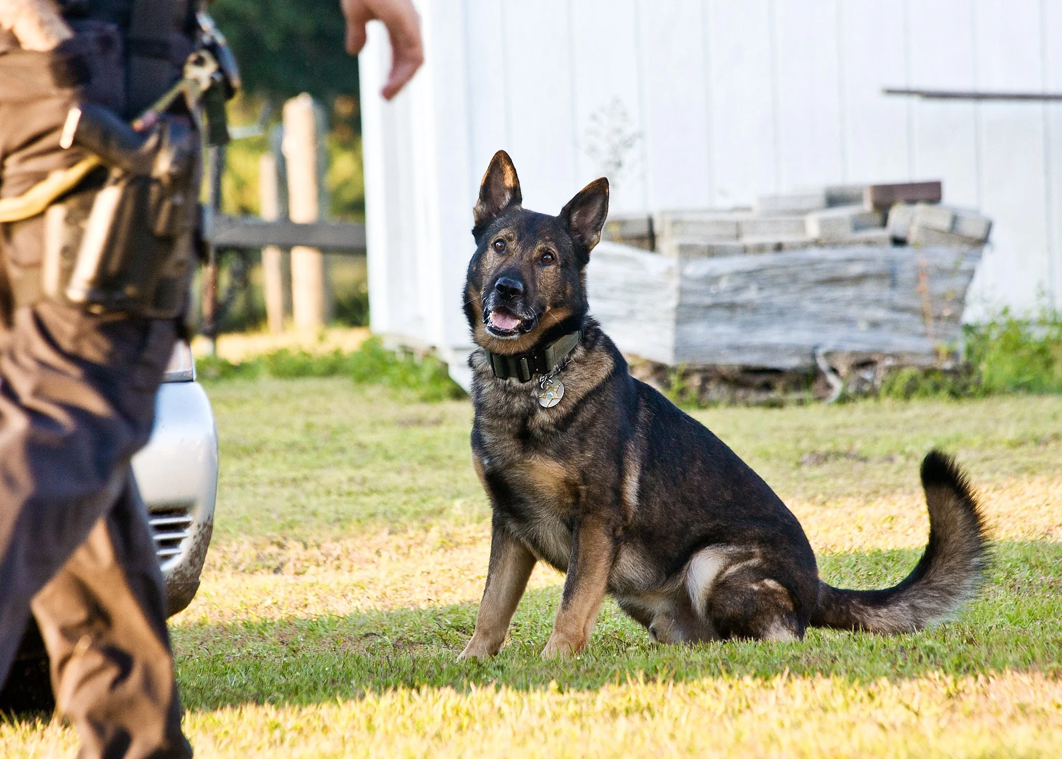 k9demo101613-102.JPG