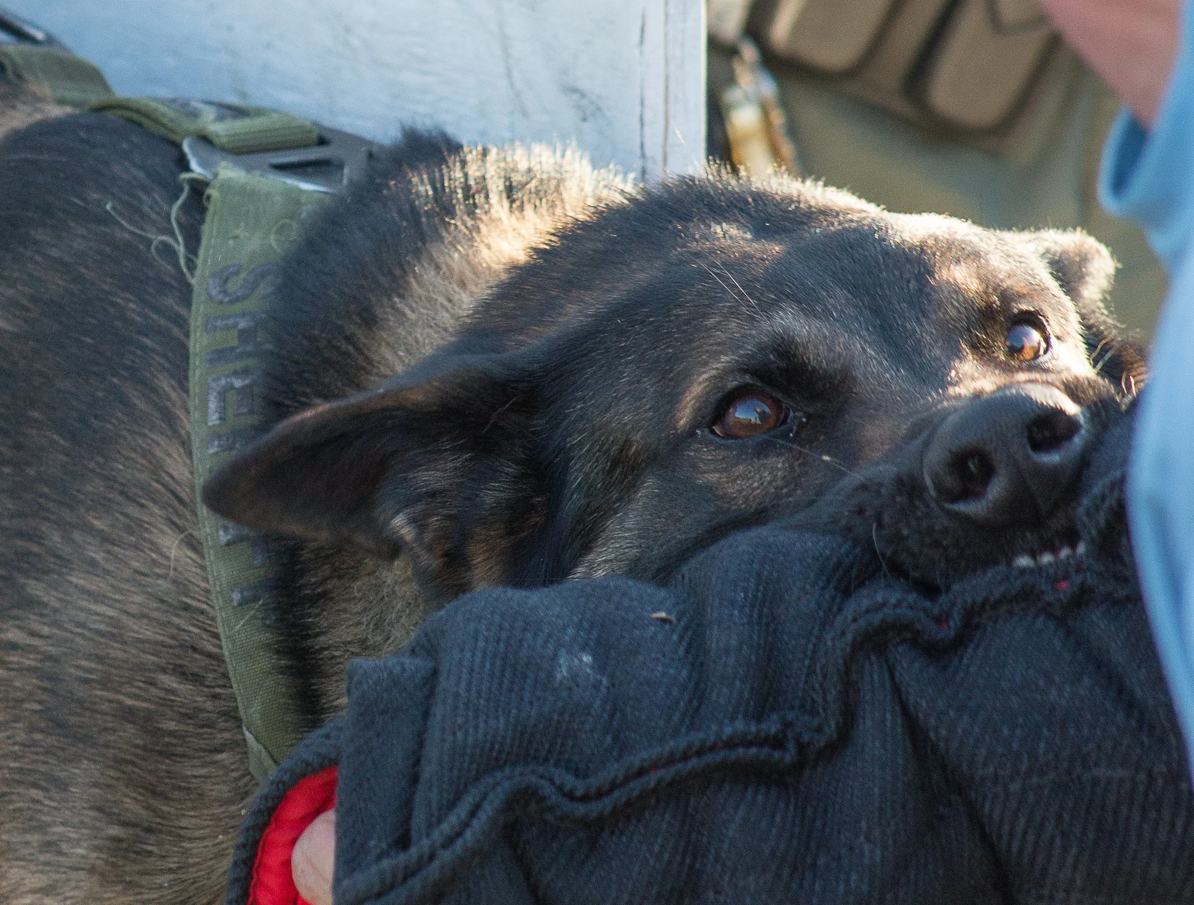 training 2 24-102.jpg